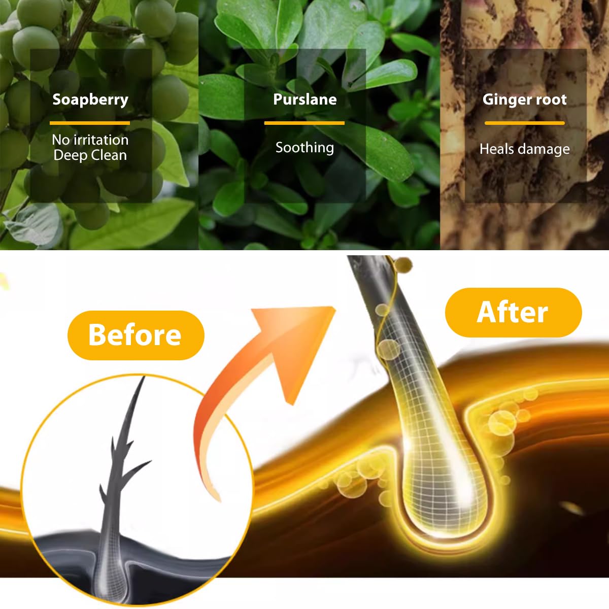 Bee & Flower Shampoo Bar Sulfur Shampoo Bar Oil Control & Balancing All Natural Travel Shampoos Bars for All Hair Types - 2.1 oz (Comes with Mesh Bag and Tin Box)