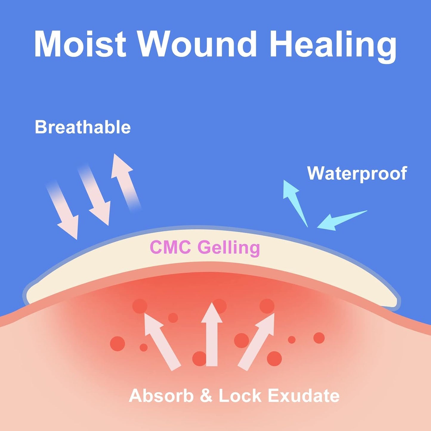 20 Count Hydrocolloid Bandages 2 x 4 in, Large Wound Dressing Healing Bandages for Wounds, Waterproof Bandage Large