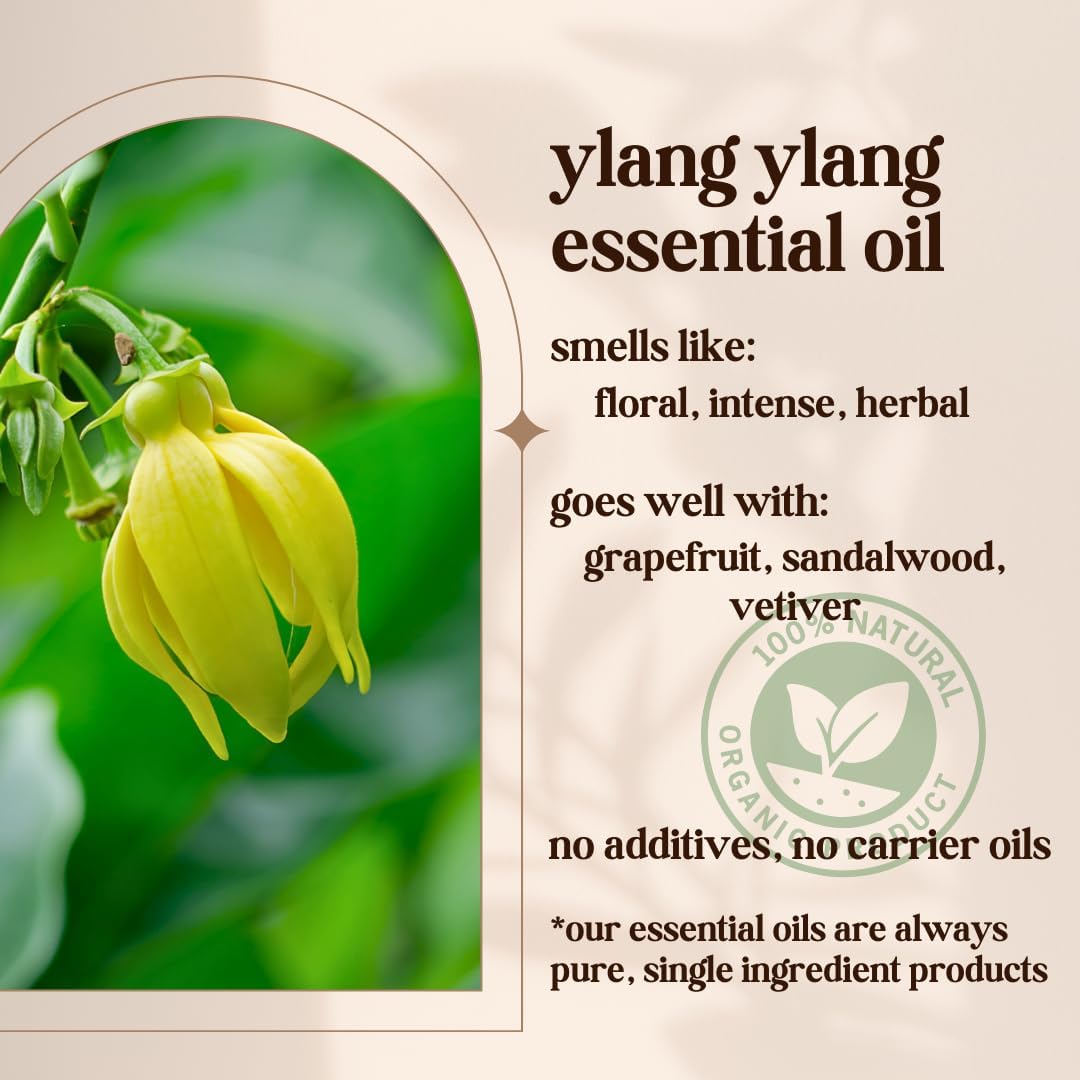 Avivni Ylang Ylang Essential Oil - 100% Pure & Natural, Organic, Undiluted for Aromatherapy, Hair, Diffuser (0.33oz - 10ml)