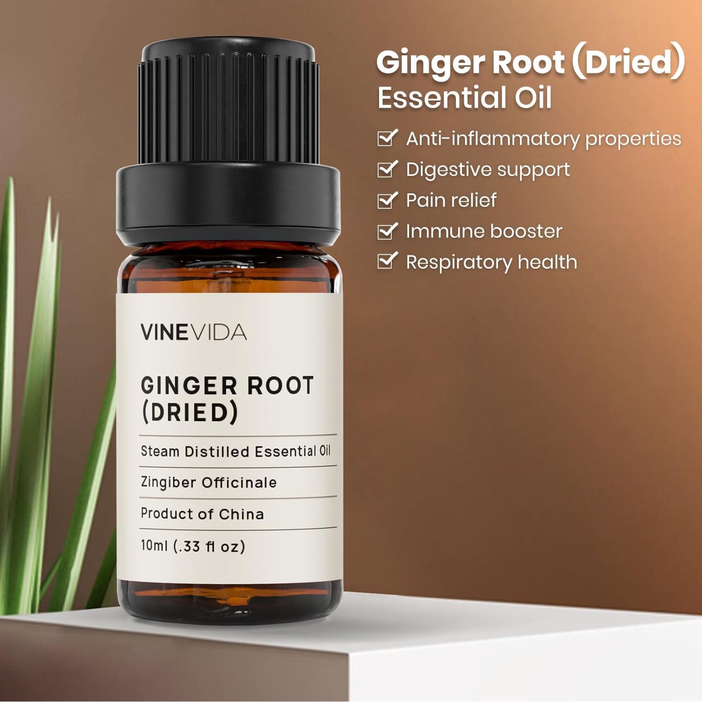 VINEVIDA Dried Ginger Root Essential Oil 10 mL - Undiluted Candle Scent DIY Scents for Candlemaking Soap Making Safe Skin,0.33 Fl Oz 1.33 Ounces