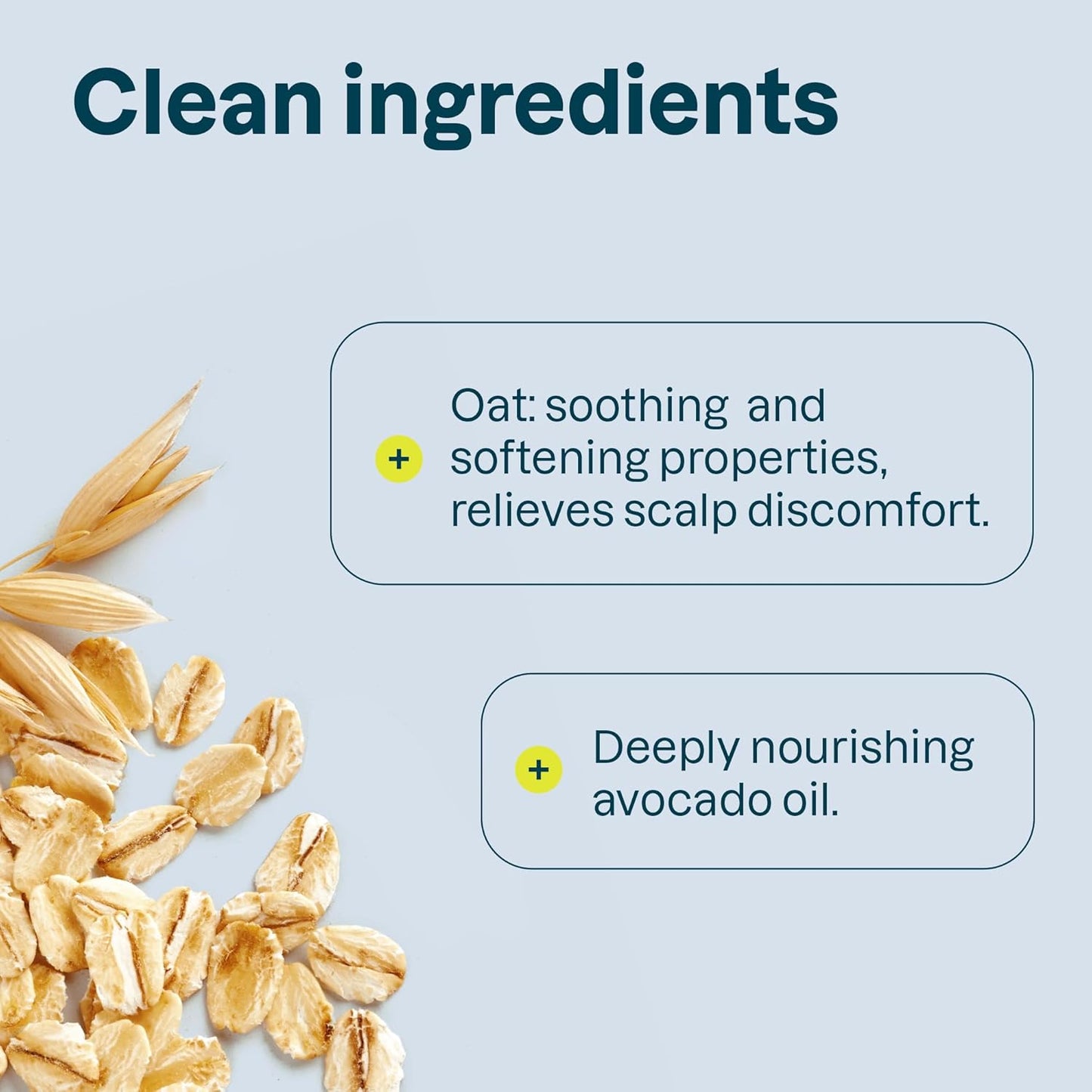 ATTITUDE Hair Conditioner for Sensitive Dry Scalp, Dry and Damaged Hair, Soothing Oat, Naturally Derived Ingredients, Dermatologically Tested, Vegan Detangler, Nourishing, 8 Fl Oz (Pack of 6)