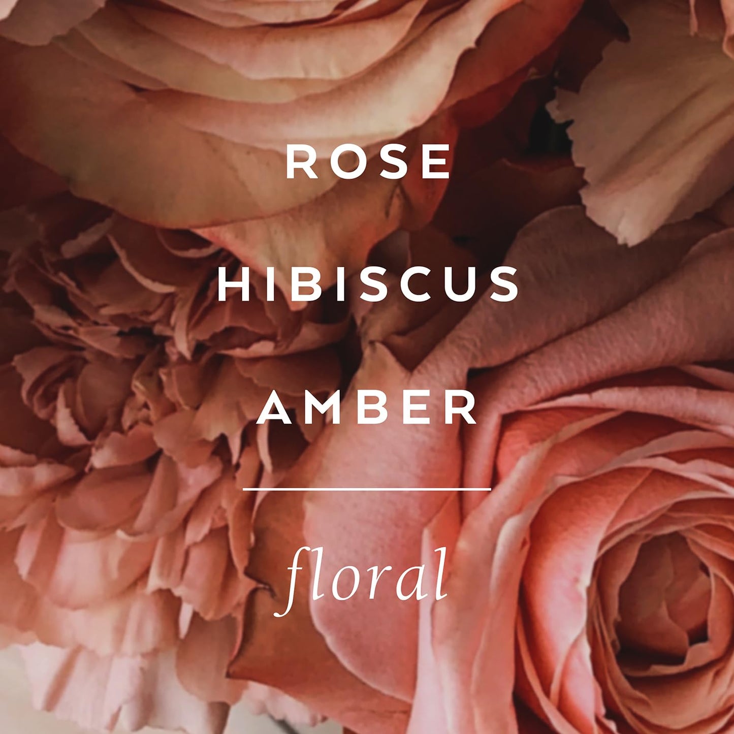 LOLLIA Always in Rose Shower Gel, 8 fl. oz. – Rose & Hibiscus – Scented Shower Gel Body Wash, Shea Butter Body Wash, Bath Wash for Women, Beautiful Shower Gel, Moisturizing Body Wash