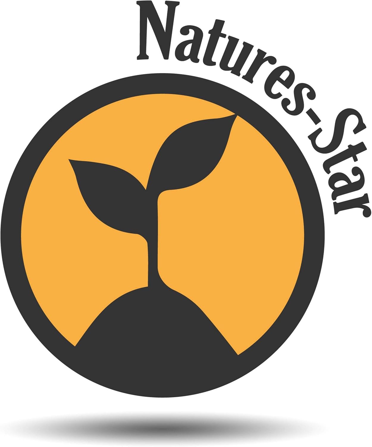 Peppermint Essential Oil 2-Pack (16oz Each, 32oz Total) – Therapeutic Grade – Candle Making – Peppermint Oil Bulk