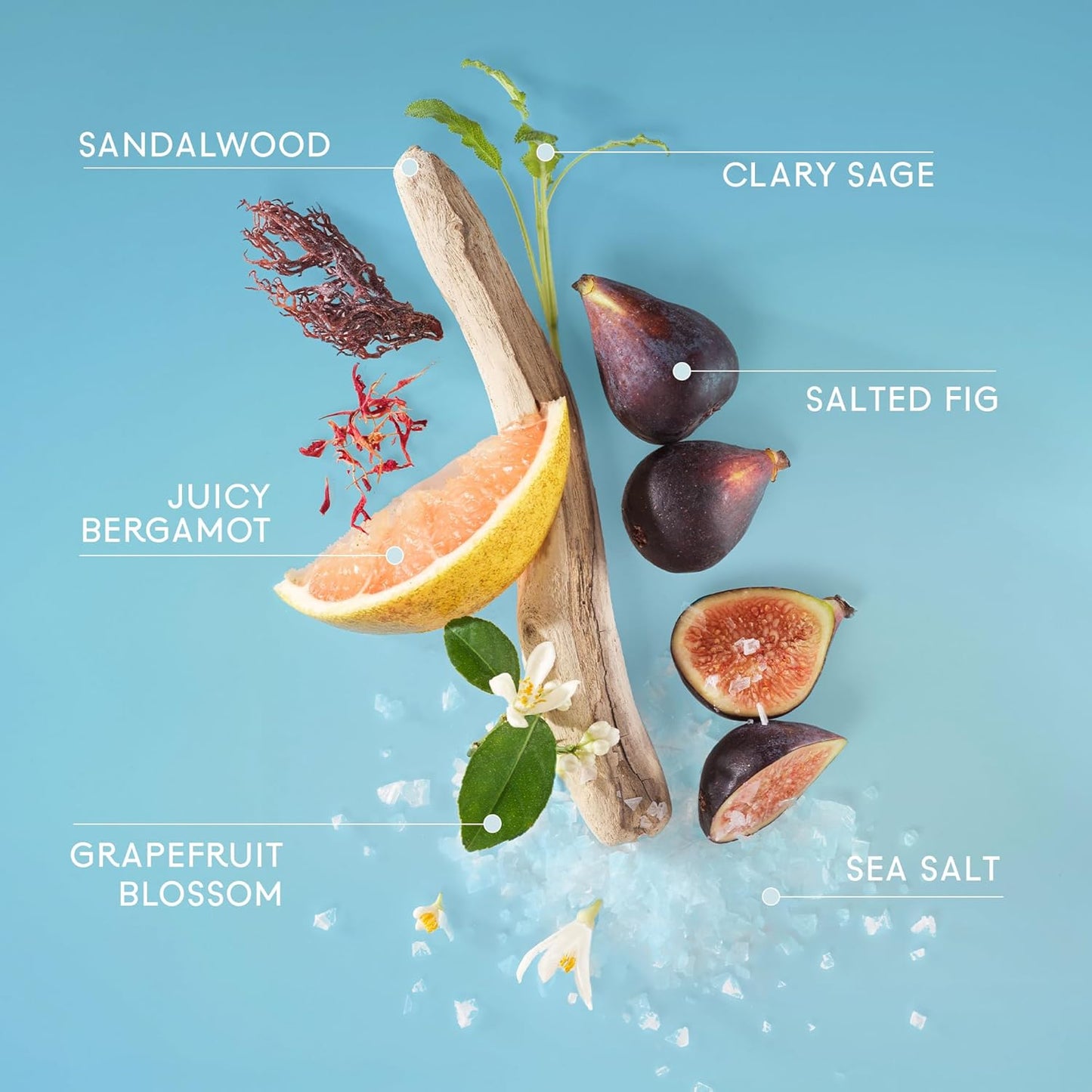 Lake & Skye 333 Sheer Fig + Salt Hair & Body Mist