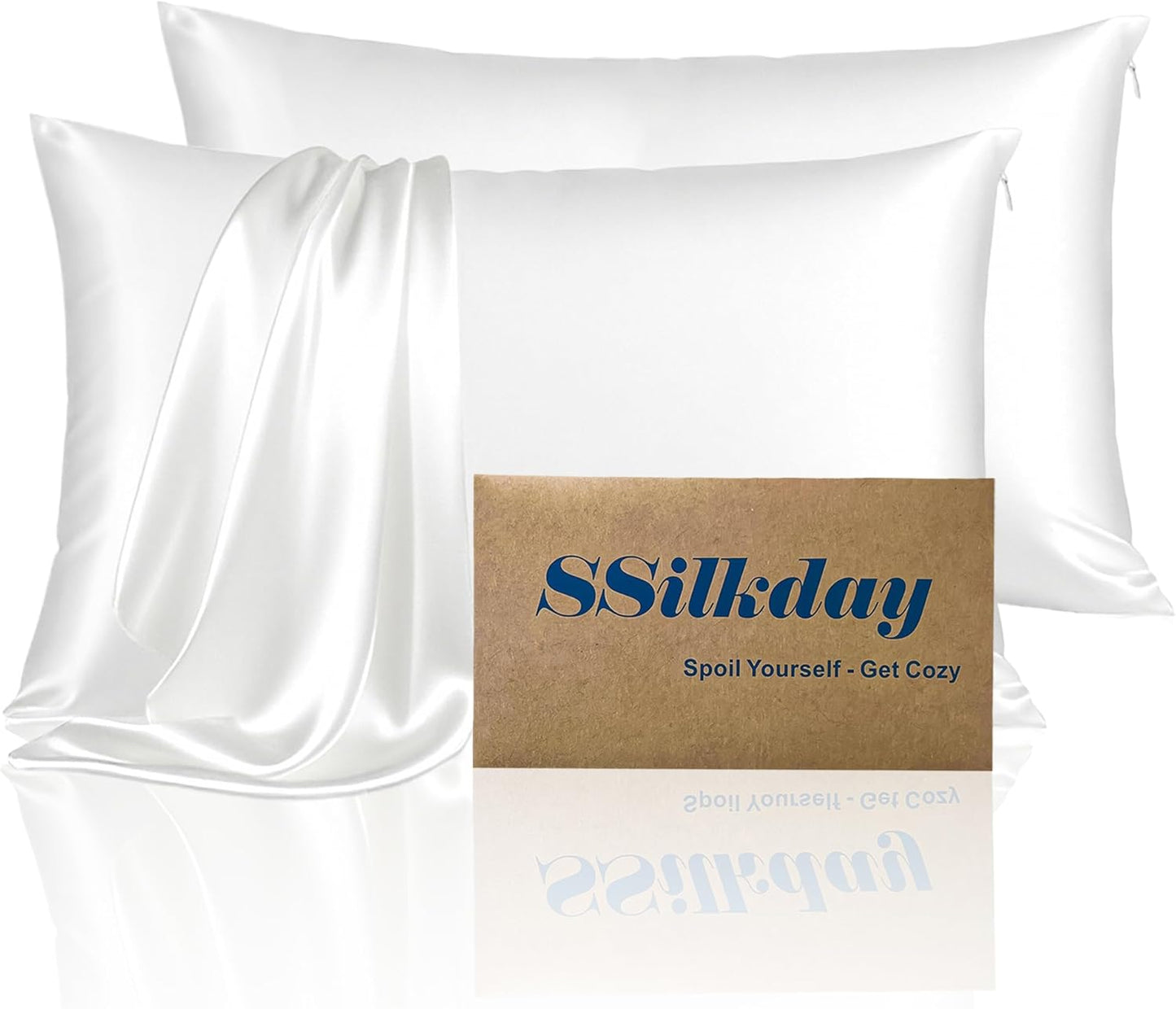Mulberry Silk Pillow Cases Queen Size Set of 2, Ultra Smooth Soft Breathable Cooling Pillow Cases for Hot Sleepers, Silk Satin Pillowcases 2 Pack with Zipper for Hair and Skin, Gifts for Women