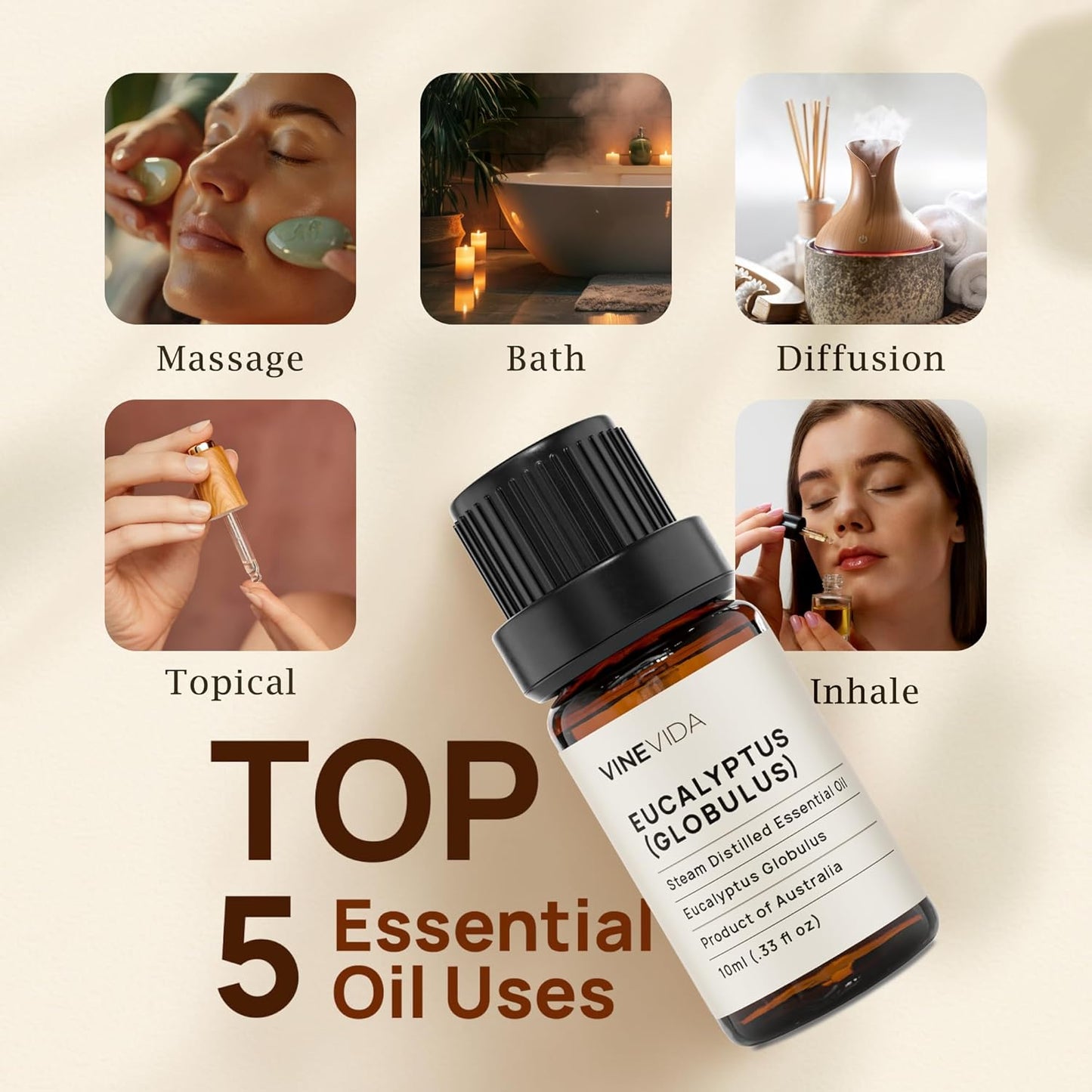 VINEVIDA Eucalyptus Essential Oil - 10 mL Undiluted - DIY Candle Scents - Safe for Skin