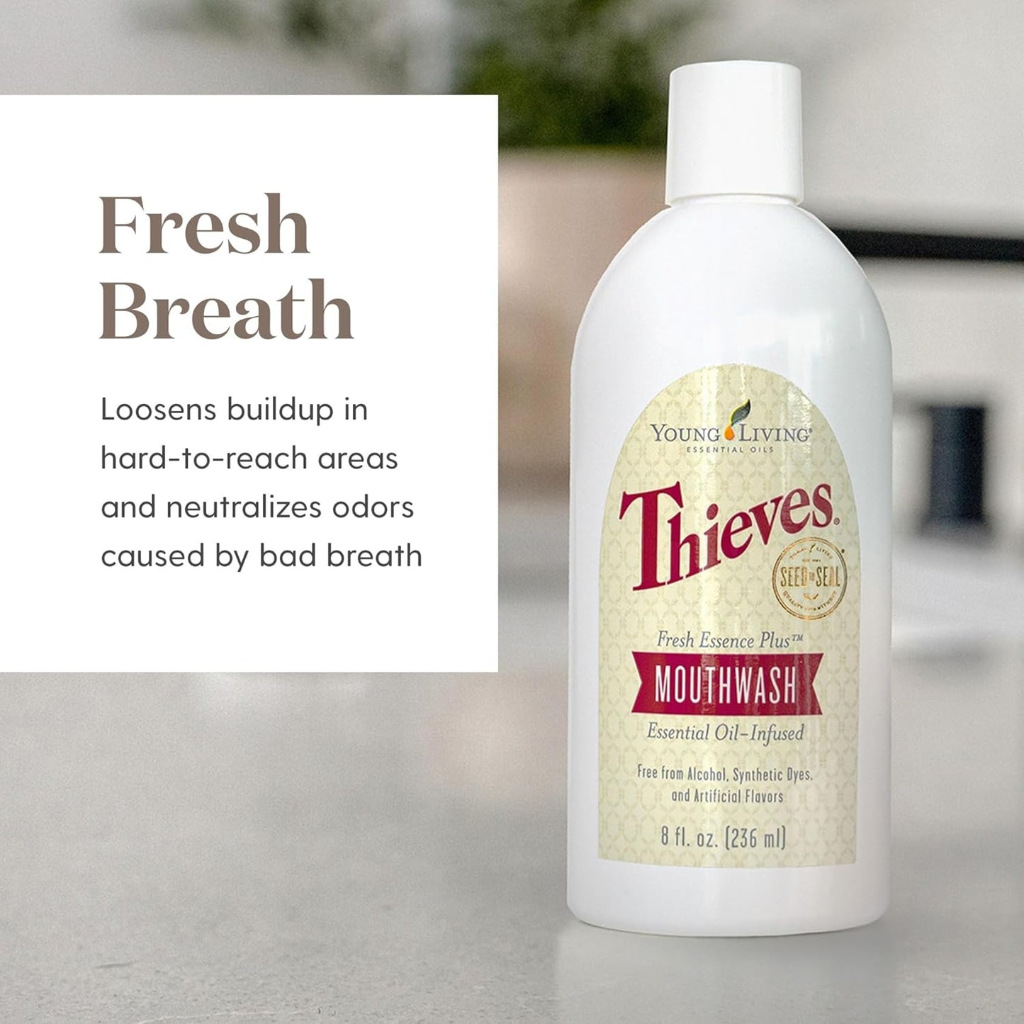 Young Living Thieves Fresh Essence Mouthwash | Alcohol-Free 8 fl oz Mouthwash Infused with Essential Oils | Gentle, Refreshing Oral Care for Long-Lasting Fresh Breath & Healthy-Looking Smile