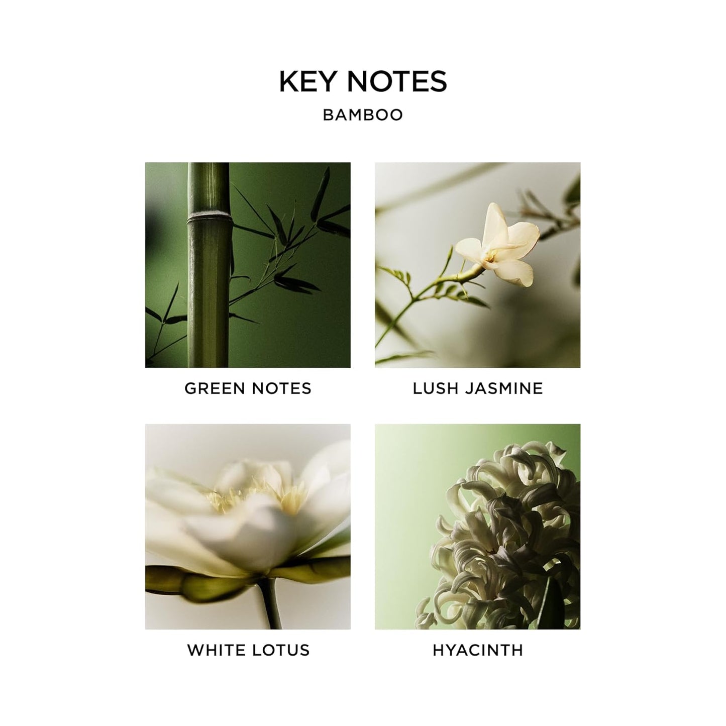 NEST New York Liquid Soap, Bamboo - 10 fl oz - Cleanses & Nourishes Skin - Approx. 300 Pumps Per Bottle - Gluten Free & Cruelty Free