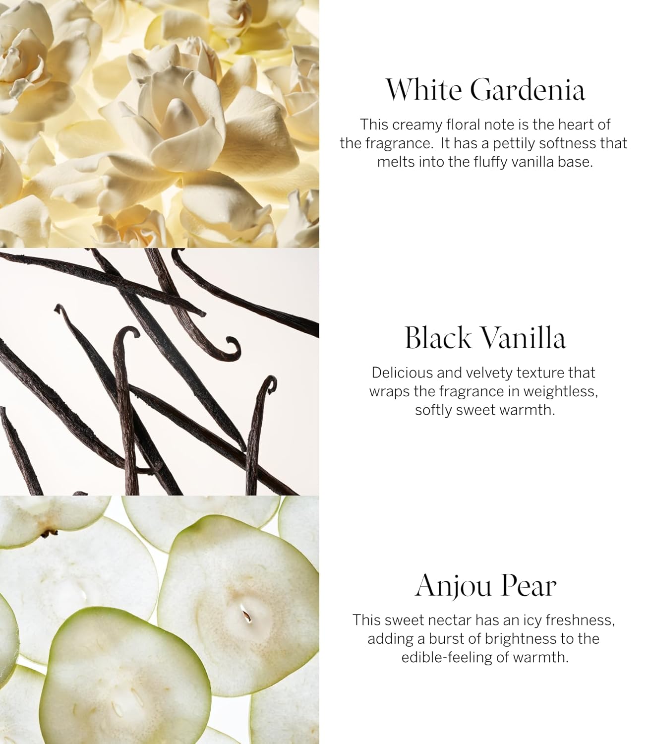 Victoria's Secret Tease Fine Fragrance 8.4oz Mist