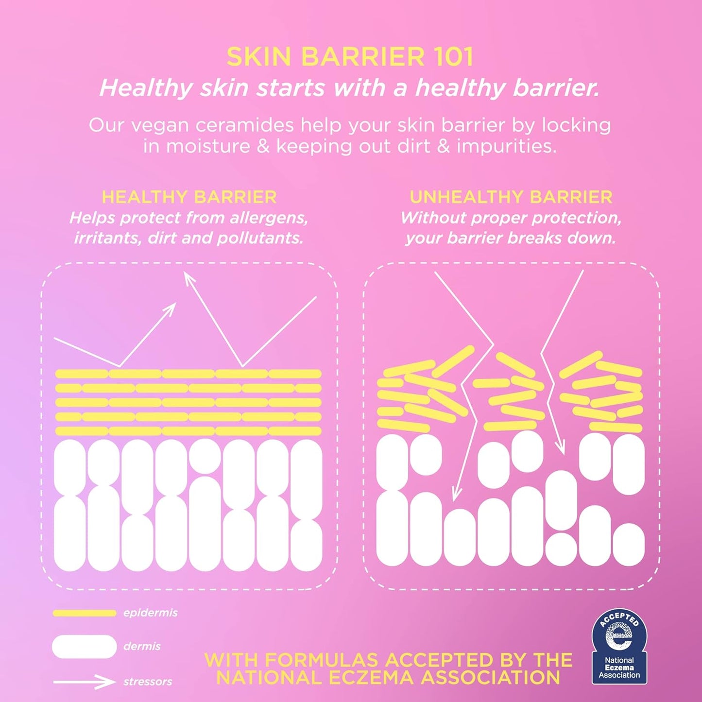 Pacifica Vegan Ceramide Barrier Eye Cream – Hydrating Under Eye Moisturizer for Dry, Sensitive Skin, Fragrance-Free Treatment for Dark Circles, Puffiness & Fine Lines Dermatologist Tested Clean Beauty