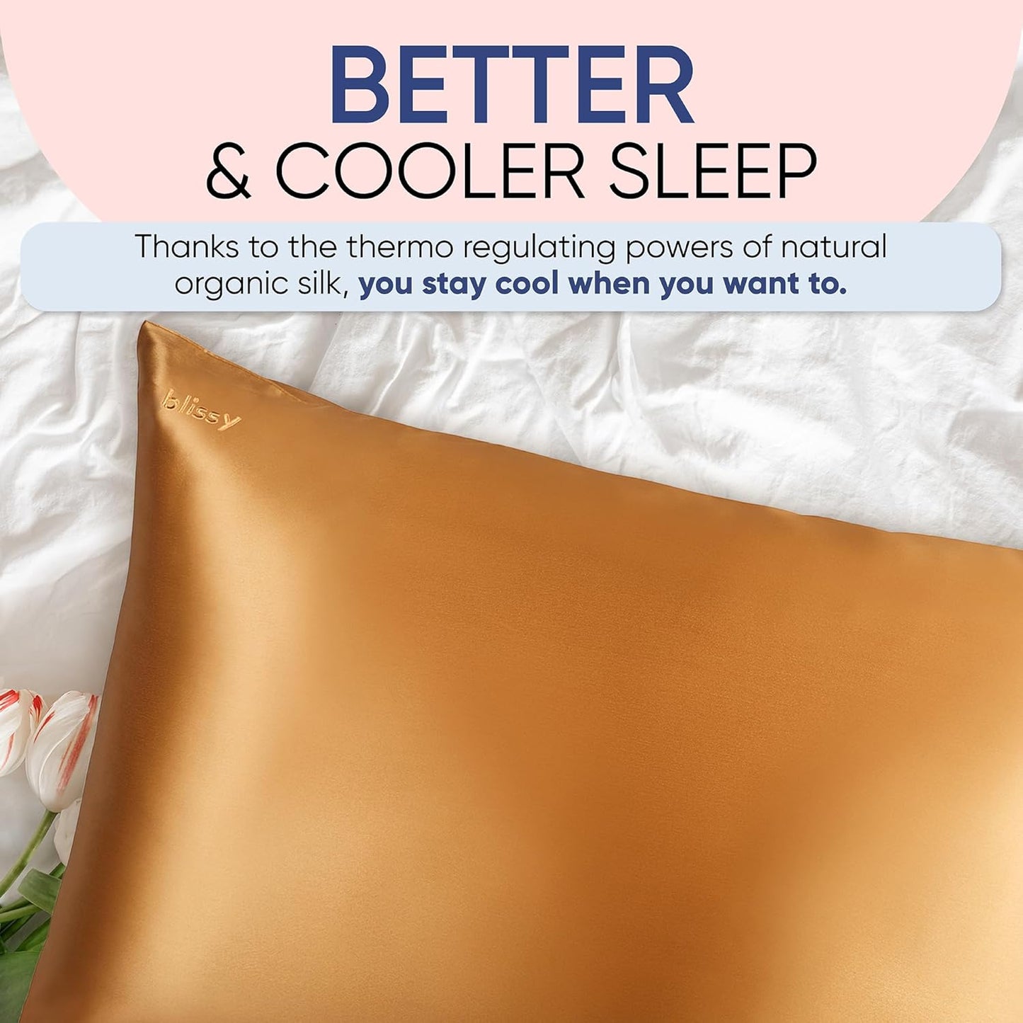 Blissy Silk Pillowcase - 100% Pure Mulberry Silk - 22 Momme 6A High-Grade Fibers - Silk Pillow Cover for Hair & Skin - Regular, Queen & King (Gold, Standard)