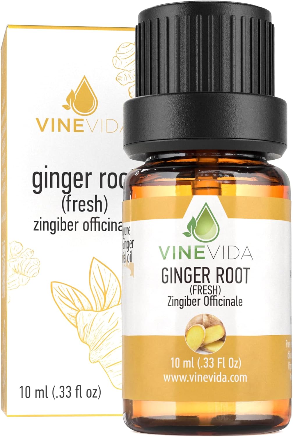 VINEVIDA Fresh Ginger Root Essential Oil 10 mL - Undiluted Candle Scent DIY Scents for Candlemaking Soap Making Safe Skin,0.33 Fl Oz 1.33 Ounces