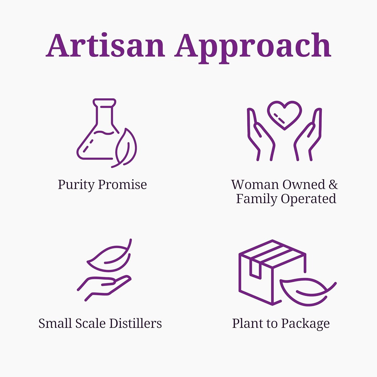 Aromatics International Rose Geranium Hydrosol 100ml | Floral Aromatic Spray for Home Use