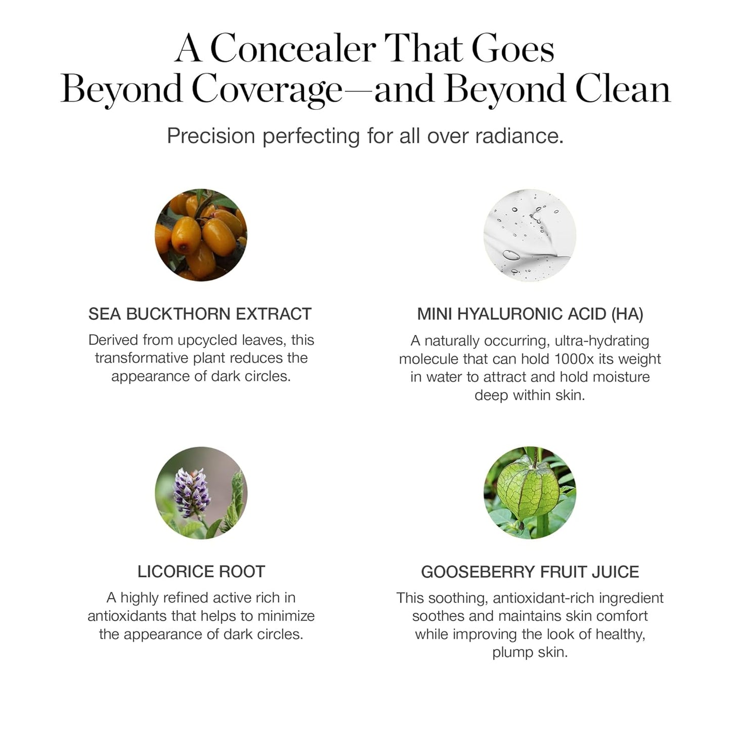 Ogee Complexion Perfecting Under Eye Concealer - Certified Organic Full Coverage Concealer - Buildable Coverage - TEAK 10.80W - Medium Deep (Warm Undertones)