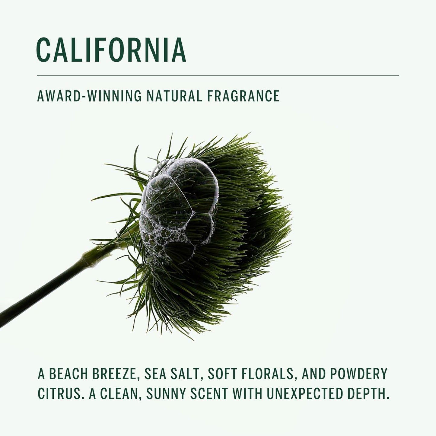 CORPUS - Natural Deodorant Stick For Sensitive Skin | Aluminium + Baking Soda Free | Unisex, Non-Toxic, Made In The USA (California)