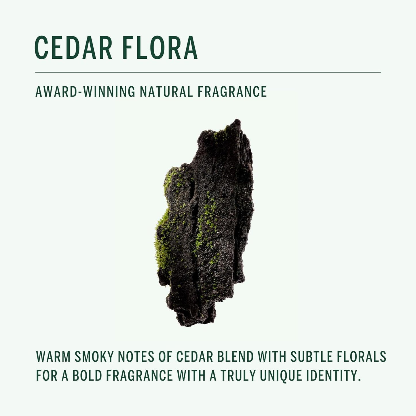 CORPUS - Natural Deodorant Stick For Sensitive Skin | Aluminium + Baking Soda Free | Unisex, Non-Toxic, Made In The USA (Cedar Flora)