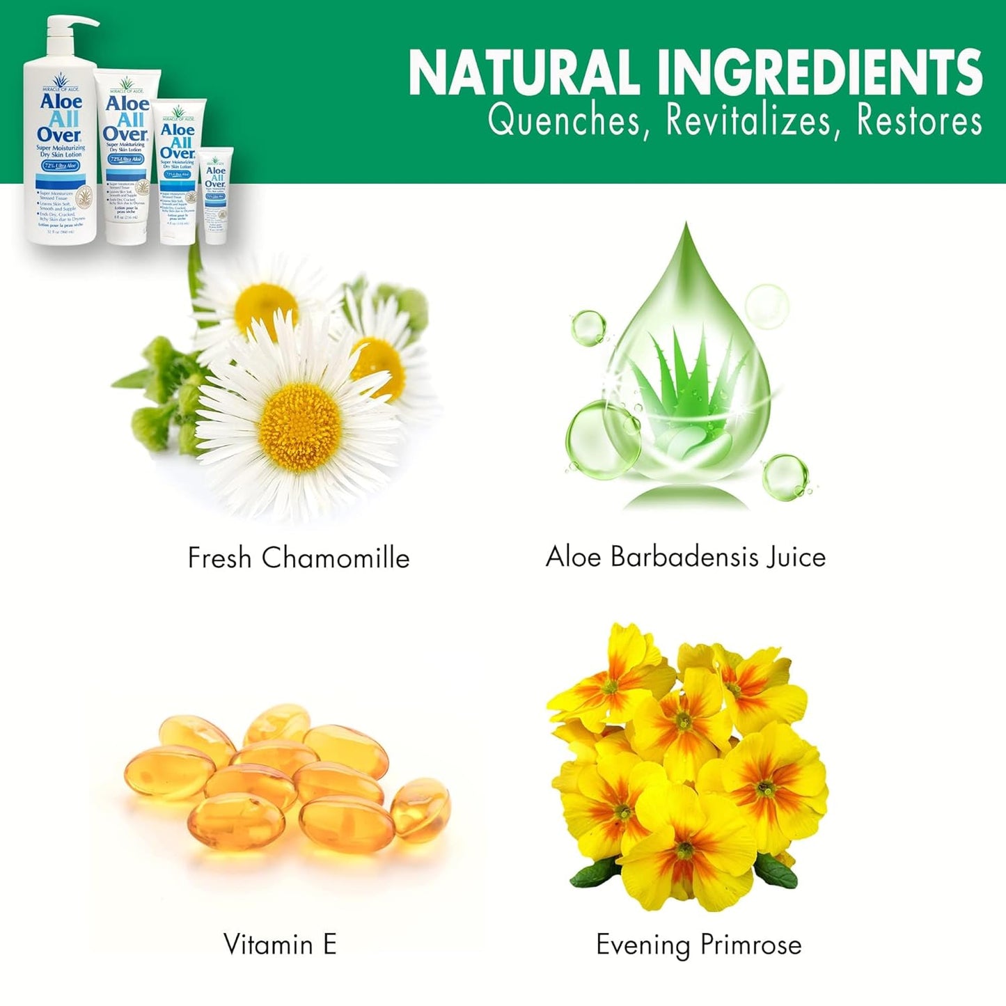 Miracle of Aloe Aloe All Over Super Moisturizing Dry Skin Lotion (12-Pack, 1 oz) - Made with 72% UltraAloe Aloe Vera Gel. Safe for Everyone: Men, Women, Kids. Restores Dry Skin Fast