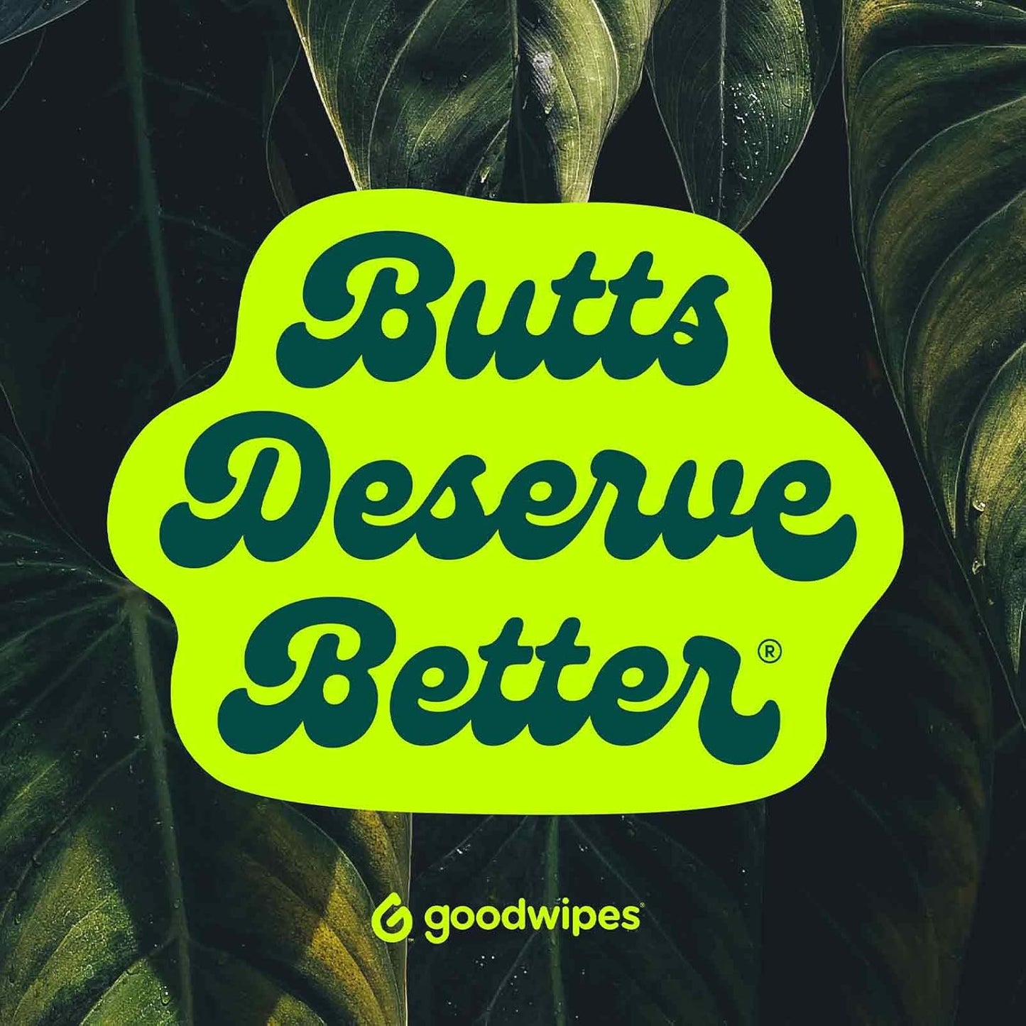 goodwipes Flushable Butt Wipes Made with Vitamin E & Aloe - Soft & Gentle Wet Wipe Dispenser for Home Use, Septic & Sewer Safe - Largest Adult Toilet Towelettes - Cedar, 180 Count (3 Packs)