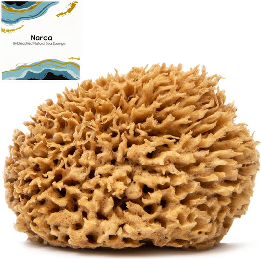 Naroa Soft Natural Sponge Large | Gentle Sea Loofah for Bathing Smooth Skin | Unbleached Shower Body Scrubber Puff | Bath & Spa (L)