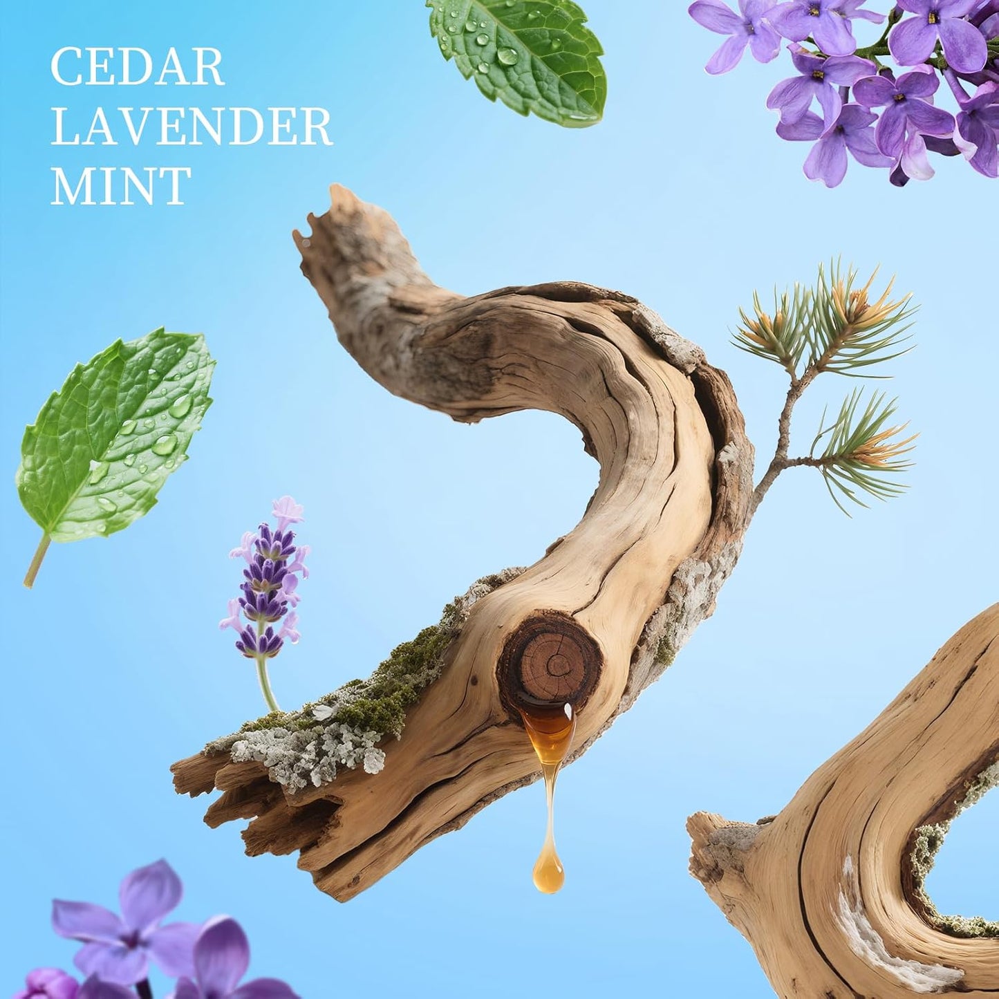 Spray Hand Sanitizer Travel Size Scented 3-Pack - Refillable Hydrating Hand Sanitizers Portable Design Travel Essentials (Mint Reverie, Silver Cedar, Citrus mist at dawn) 0.93Fl Oz Each