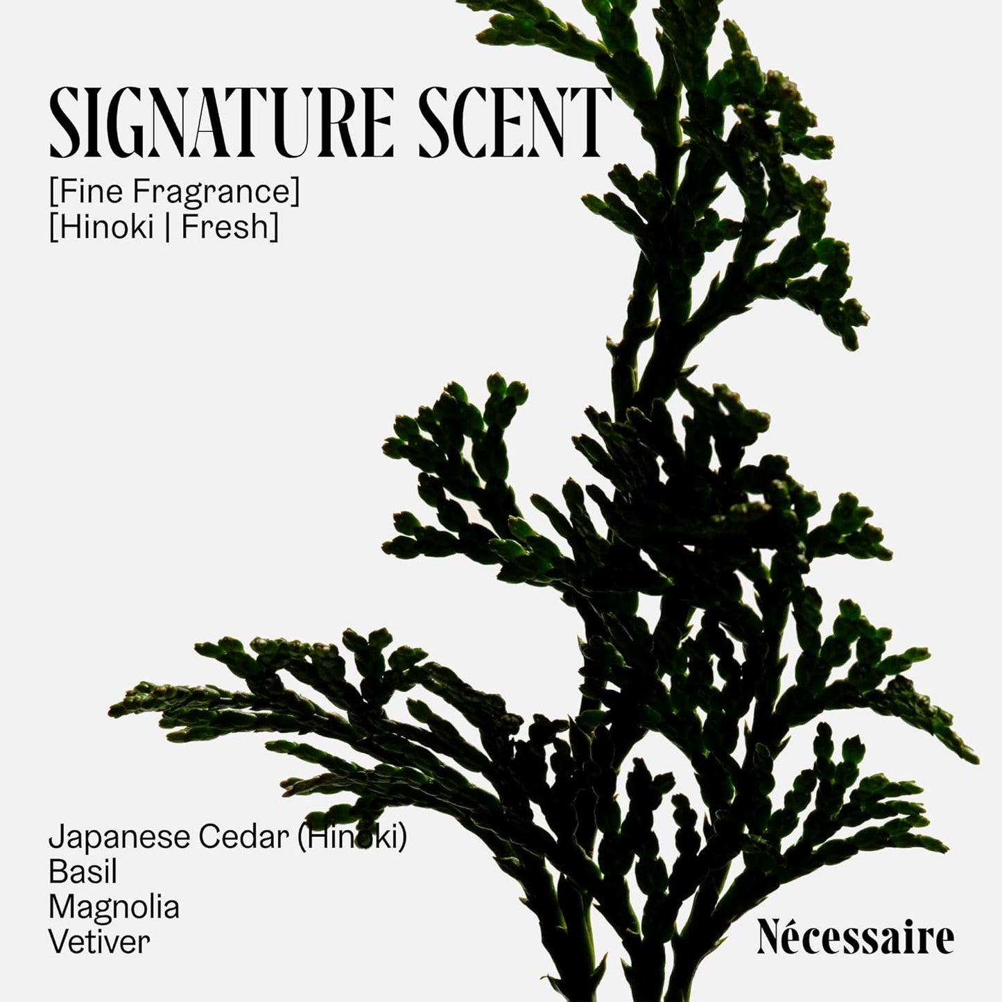 Nécessaire The Deodorant Hinoki | Natural Aluminum Free Deodorant For Women & Men. Extra Strength Treatment with Mandelic Acid. Free of Baking Soda, Ozokerite & Parabens (2x 75 g/2.5 oz)