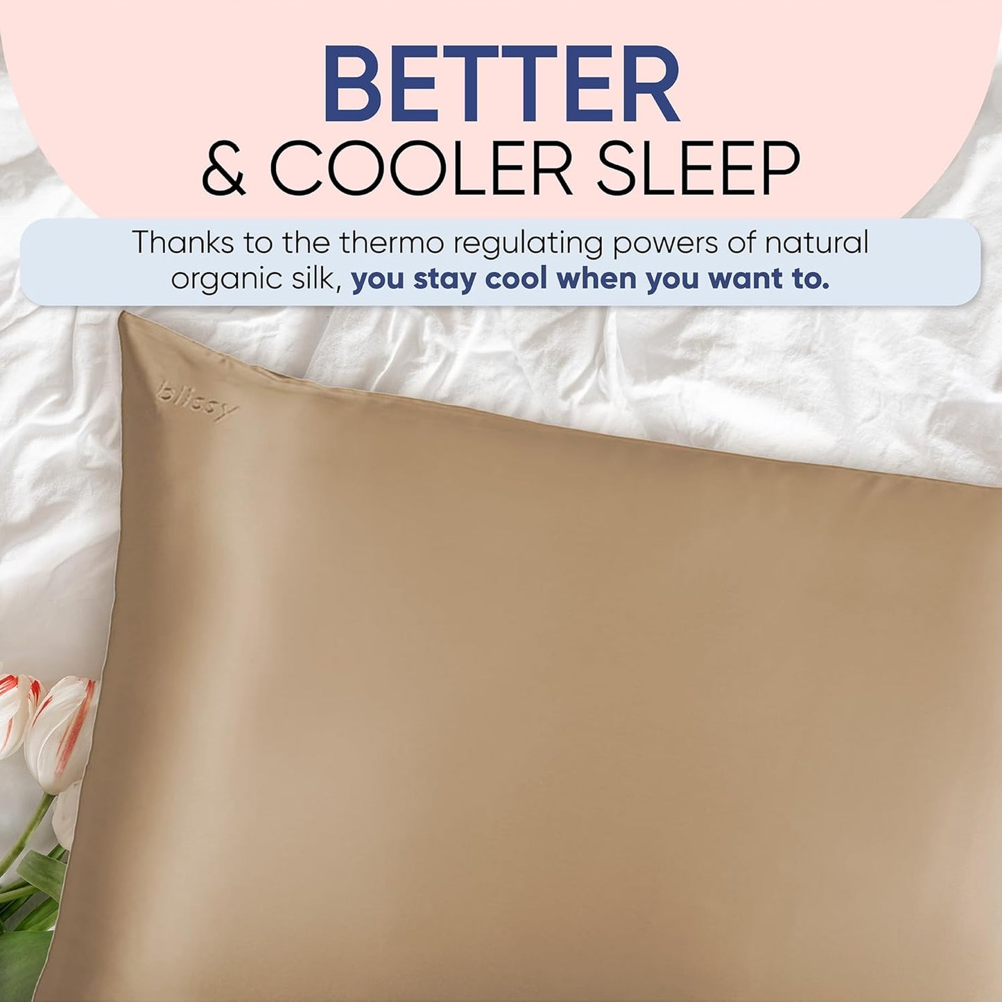 Blissy Silk Pillowcase - 100% Pure Mulberry Silk - 22 Momme 6A High-Grade Fibers - Silk Pillow Cover for Hair & Skin - Regular, Queen & King (Taupe, Standard)