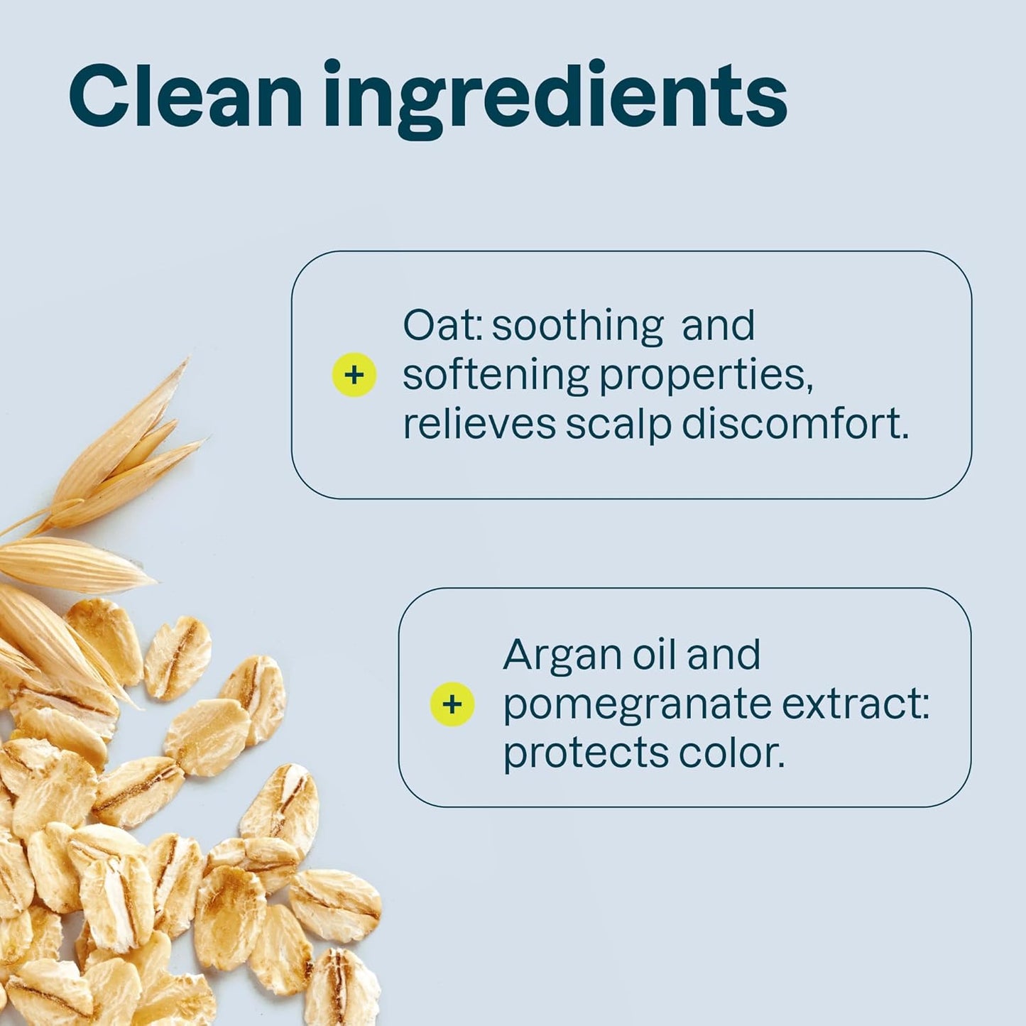 ATTITUDE Hair Conditioner for Sensitive Dry Scalp, Soothing Oat, Protects Color, Naturally Derived Ingredients, Dermatologically Tested, Vegan Detangler, Color Care, 8 Fl Oz (Pack of 6)