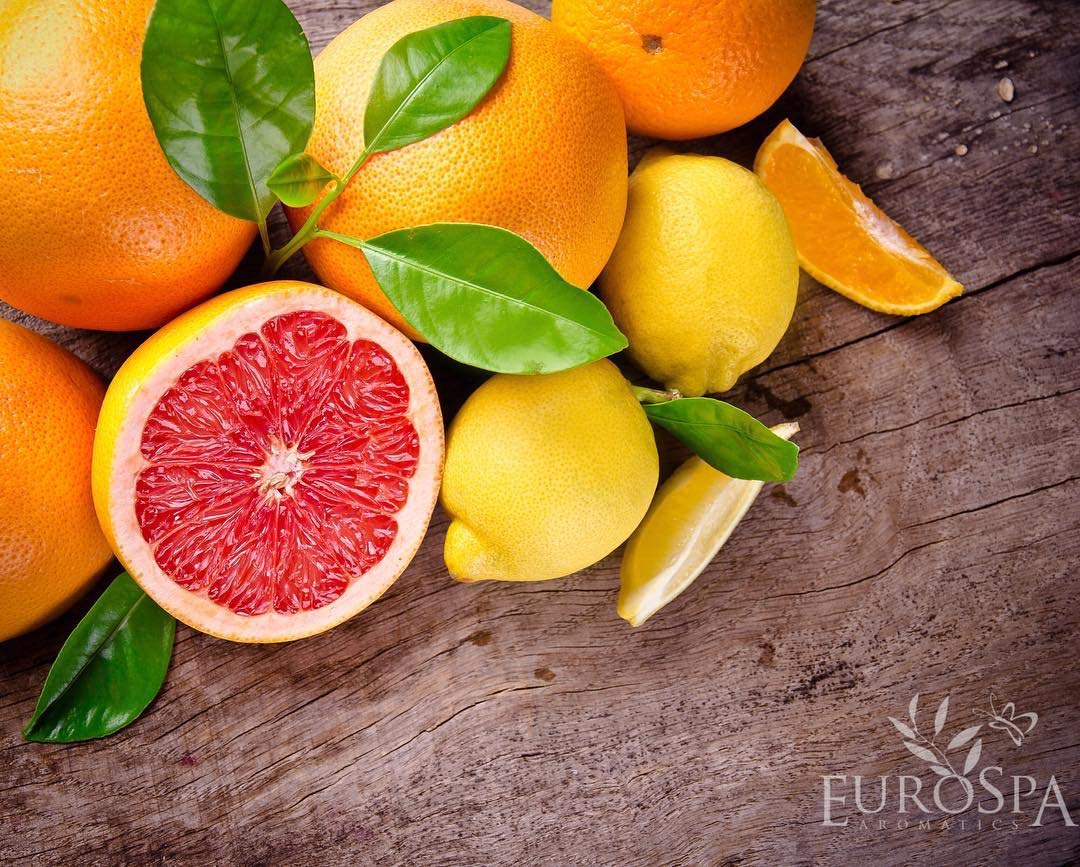 EuroSpa Aromatics Pure Eucalyptus Oil ShowerMist and Steam Room Spray, All-Natural Premium Aromatherapy Essential Oils - Citrus Infused, 8oz, 2 Pack