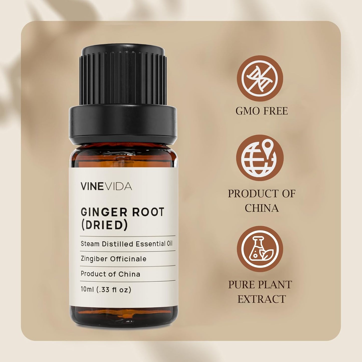 VINEVIDA Dried Ginger Root Essential Oil 10 mL - Undiluted Candle Scent DIY Scents for Candlemaking Soap Making Safe Skin,0.33 Fl Oz 1.33 Ounces