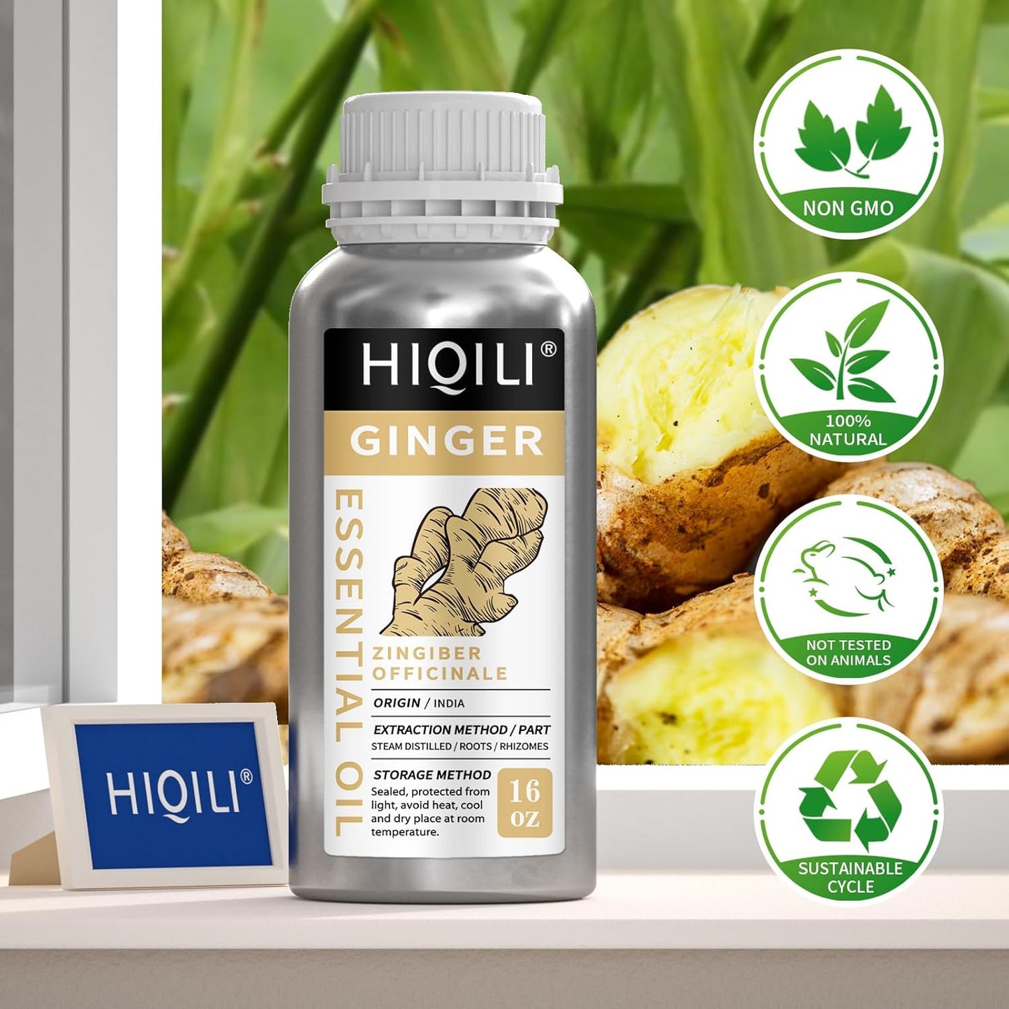 HIQILI 16 Fl Oz Ginger Oil, 100% Pure Natural Ginger Essential Oil for Hair, Massage, Skin - 500ML