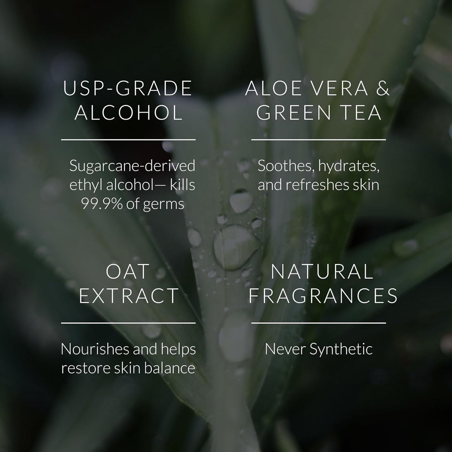 Noshinku – Bergamot Hand Sanitizer Wipes, 6-Pack (90 Towelettes) – Resealable Travel Wipes with Ethyl Alcohol, Aloe & Green Tea, Plant-Based Fiber, Essential Oil Scents, Cruelty-Free & No Dyes