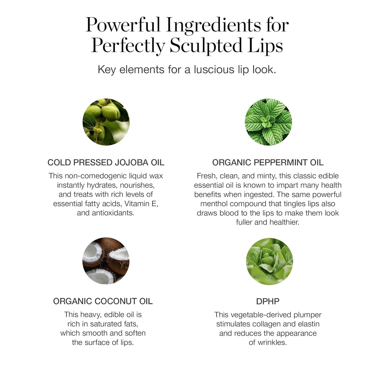 Ogee Tinted Sculpted Lip Oil - Lip Stain Made with 100% Organic Coconut Oil, Jojoba Oil, and Vitamin E - Best as Lip Balm, Lip Color or Lip Treatment - ROSALIA