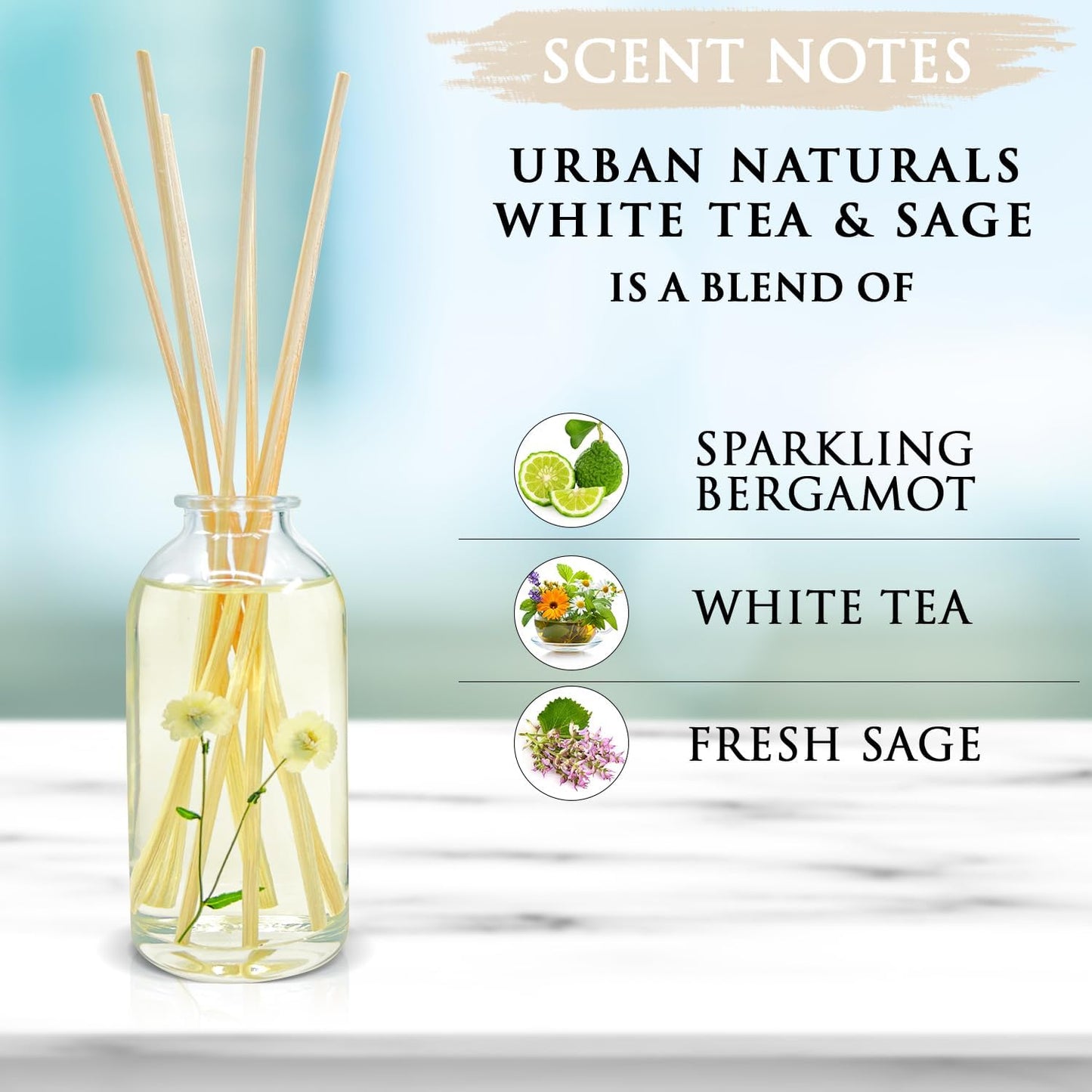 Urban Naturals White Tea & Sage Reed Diffuser Set | Made with Essential Oils & Real Botanicals | Sparkling Bergamot, White Tea & Fresh Sage | Made in The USA