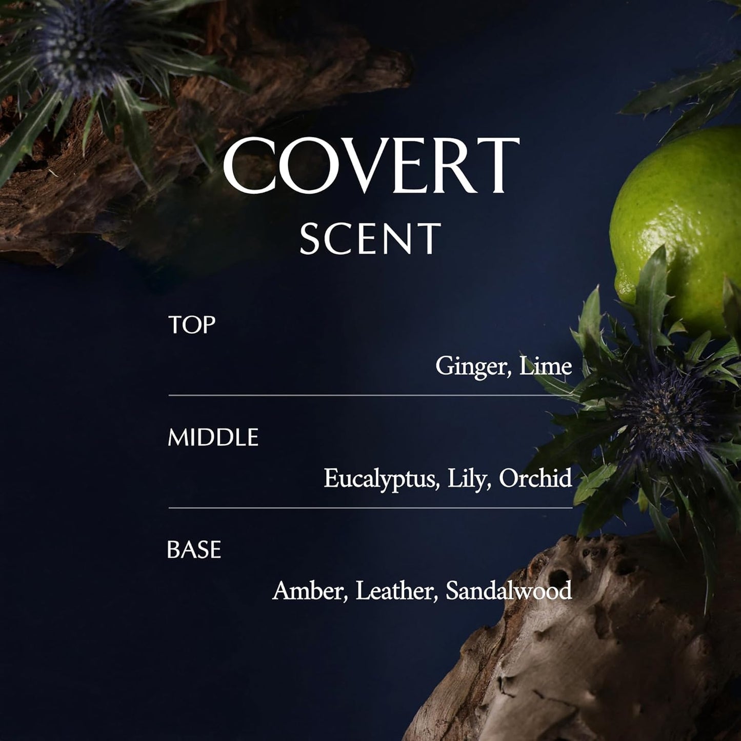 LA MUSE Perfume Body Lotion for Men(Deep Woody Amber) | Moisture Amber Body Lotion with Shea Butter | Peptide Body Cream | Non-Sticky & Non-Greasy, Fast Absorbing | Korean Skin Care