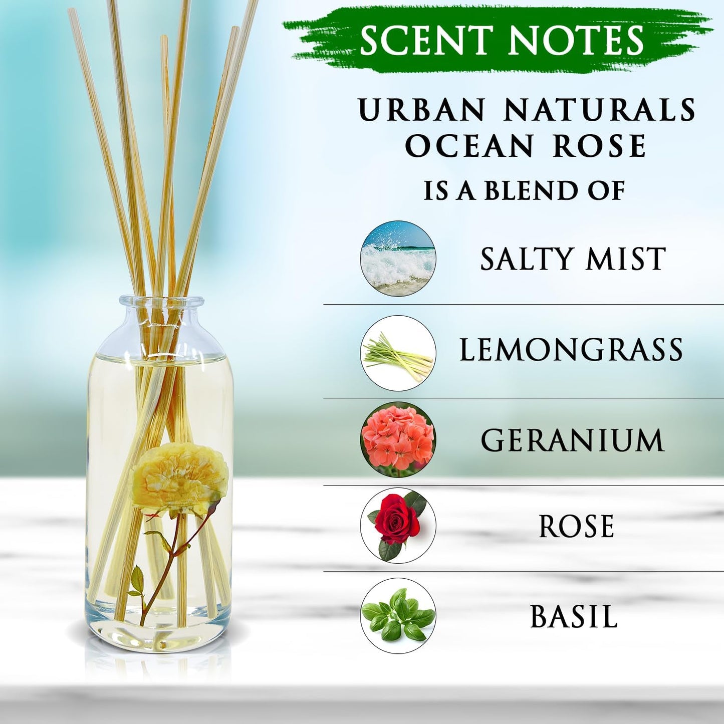 Urban Naturals Ocean Rose Reed Diffuser Set | Made with Essential Oils & Real Botanicals | Salty Mist, Lemongrass, Geranium, Rose, Basil, Honey & Sandalwood | Made in The USA