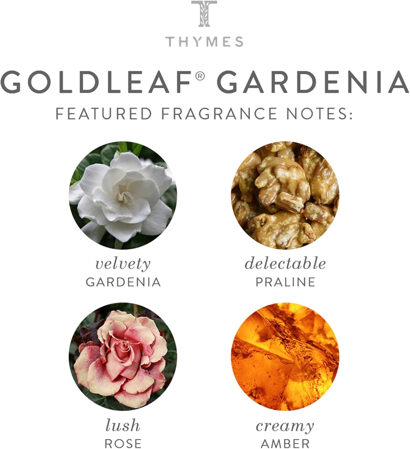 Thymes Fragrance Mist - 3 Oz - Goldleaf Gardenia