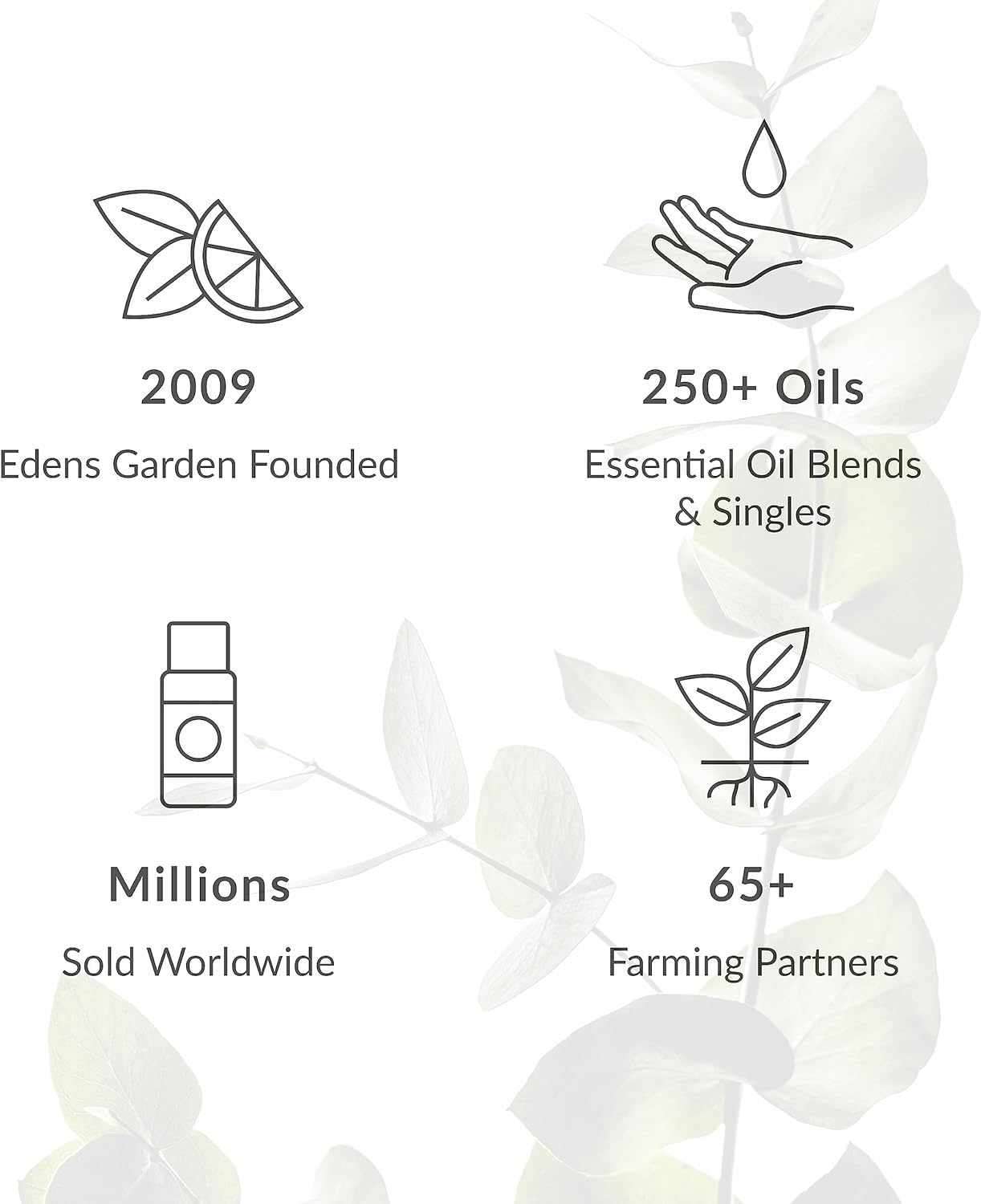 Edens Garden Diffuser Days Essential Oil Blend- 100% Pure Premium Grade, Undiluted, Natural, Therapeutic, Aromatherapy, The Best for Diffusing, Candle, Laundry, Humidifiers 10 ml (.33 fl oz)