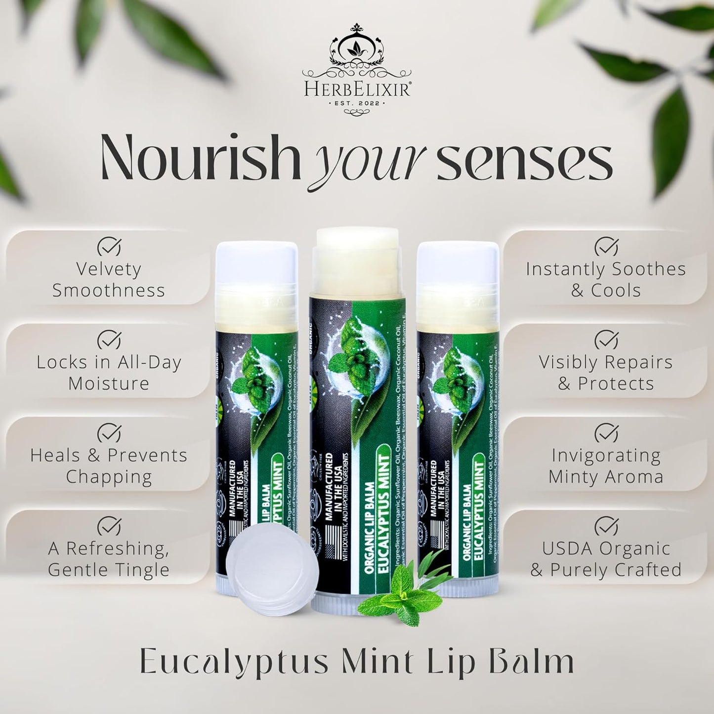 Organic Eucalyptus Mint Lip Balm 3 Pack | Hydrating Chapstick for Dry Lips | Natural Lip Care for Men and Women
