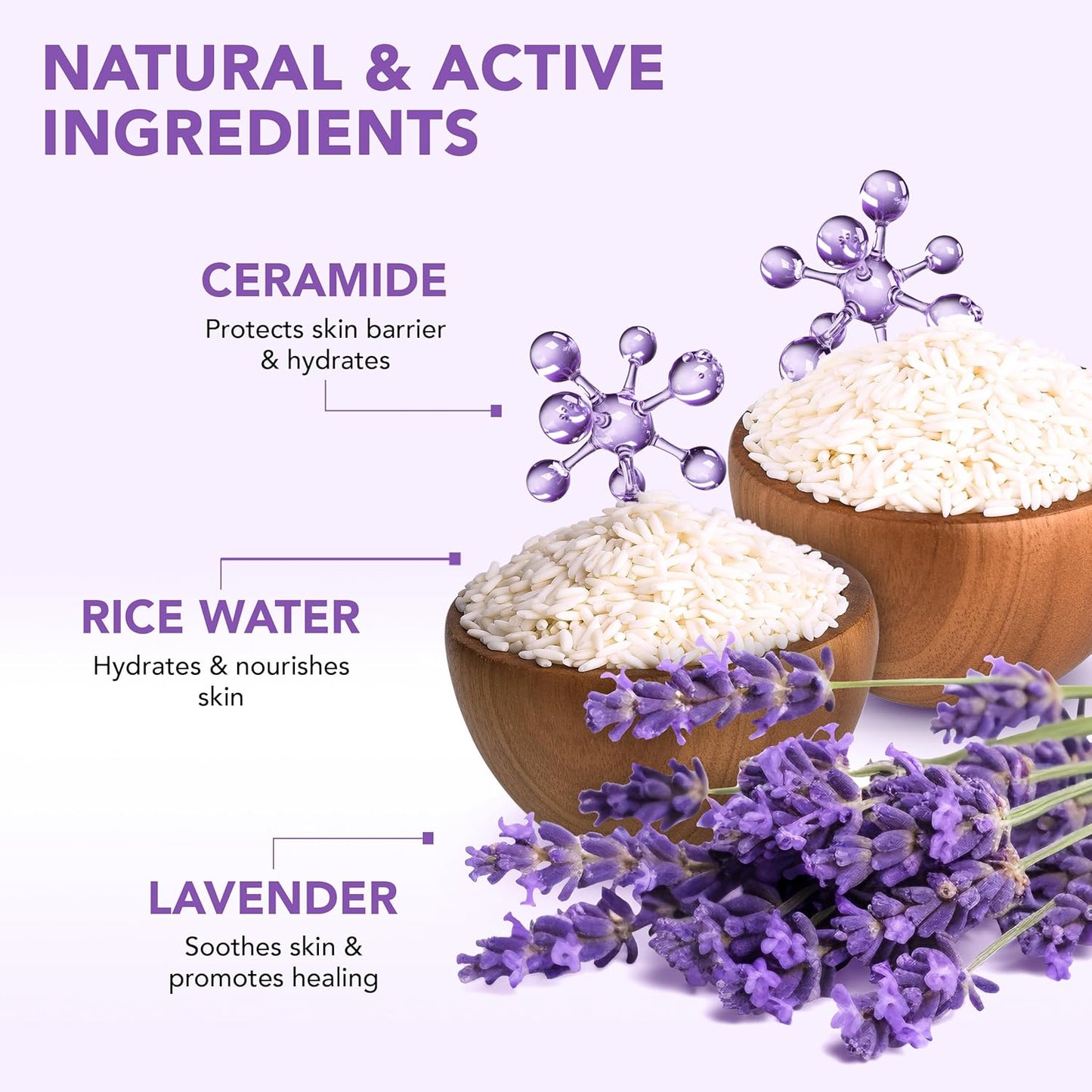 Botanic Hearth Dreamy Lavender Body Scrub 8.8 Fl Oz | Gently Exfoliates And Moisturizes Skin, Infused With Natural Lavender Oil And Essential Nutrients For Smooth And Radiant Skin