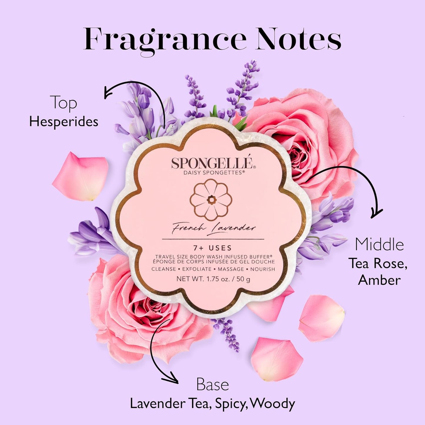 Spongelle Daisy Spongette French Lavender