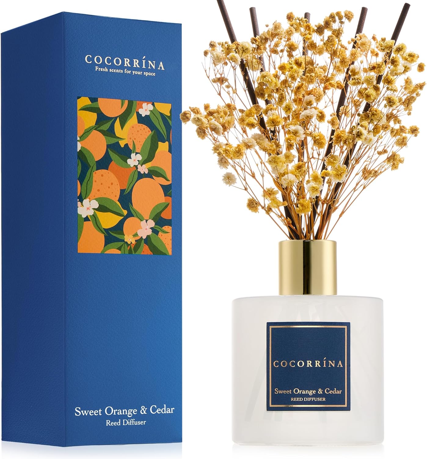 COCORRÍNA Reed Diffuser - Sweet Orange & Cedar 6.7 Fl.oz Reed Diffuser Set with Sticks & Preserved Baby's Breath, Reed Diffuser for Home Bathroom Shelf Decor
