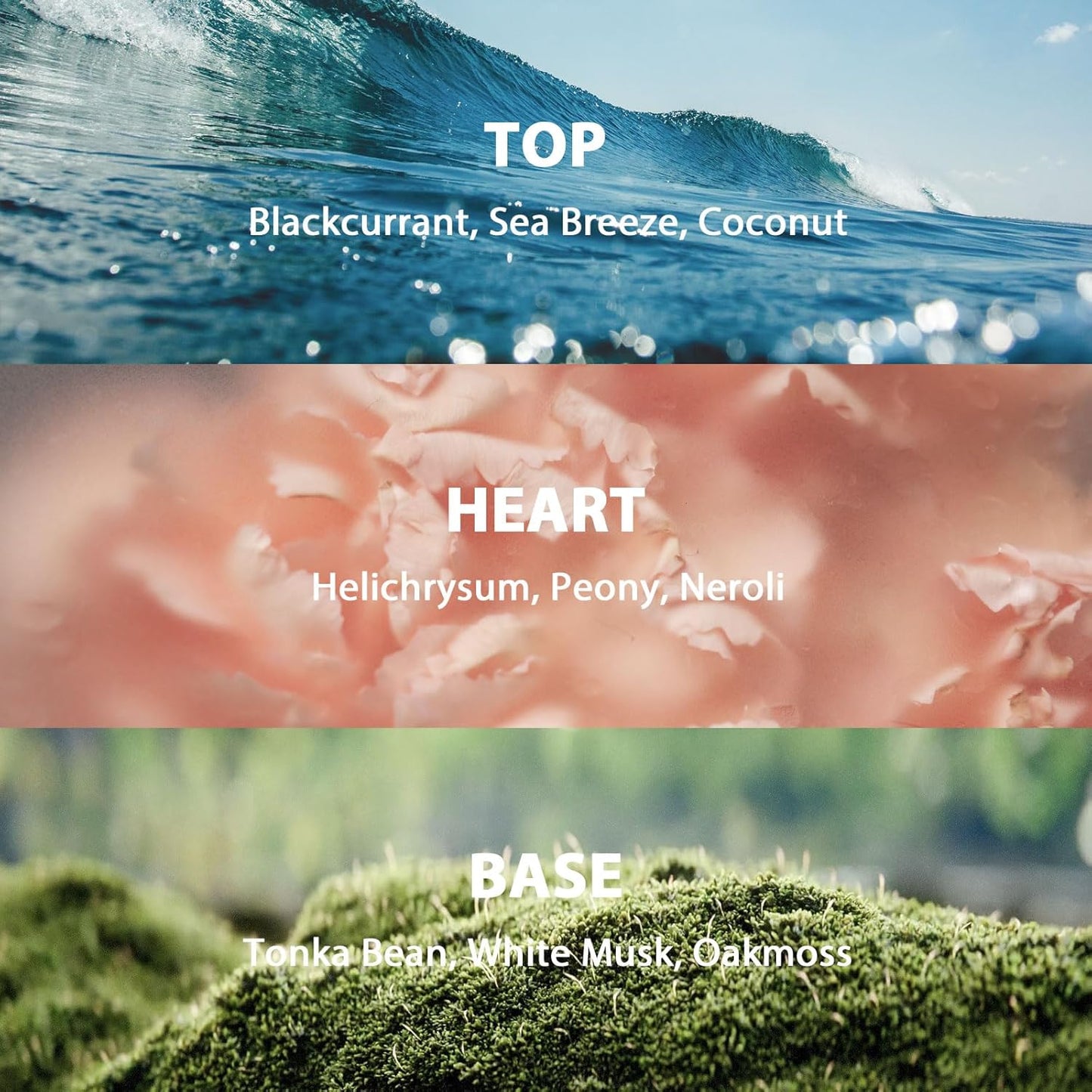 Reed Diffuser Set, 3.52 oz (100ml) Scented Diffuser with Sticks Home Fragrance Reed Diffuser for Bathroom Shelf Decor, Ideal Gift for Woman (Ocean Breeze)