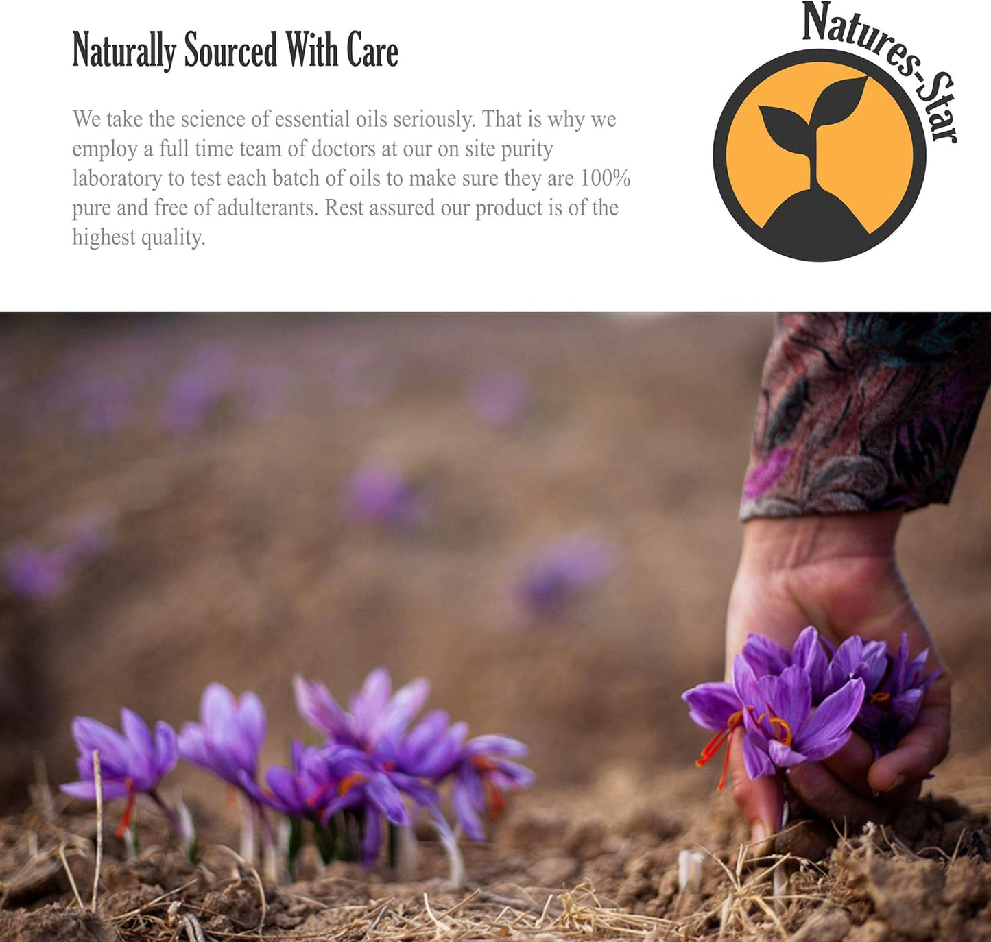 Peppermint Essential Oil 2-Pack (16oz Each, 32oz Total) – Therapeutic Grade – Candle Making – Peppermint Oil Bulk