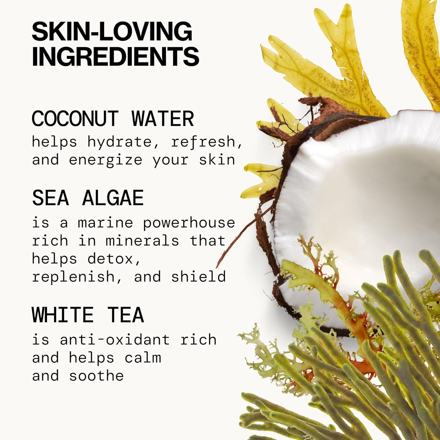 Pacifica Face Wash - Sea Foam Mini Travel Size, Skincare, Daily Gentle Foaming Cleanser, Makeup Remover, Face Cleanser, Skin Care, For Combination and Oily Skin, Vegan, 1.4 fl oz (1 Count)