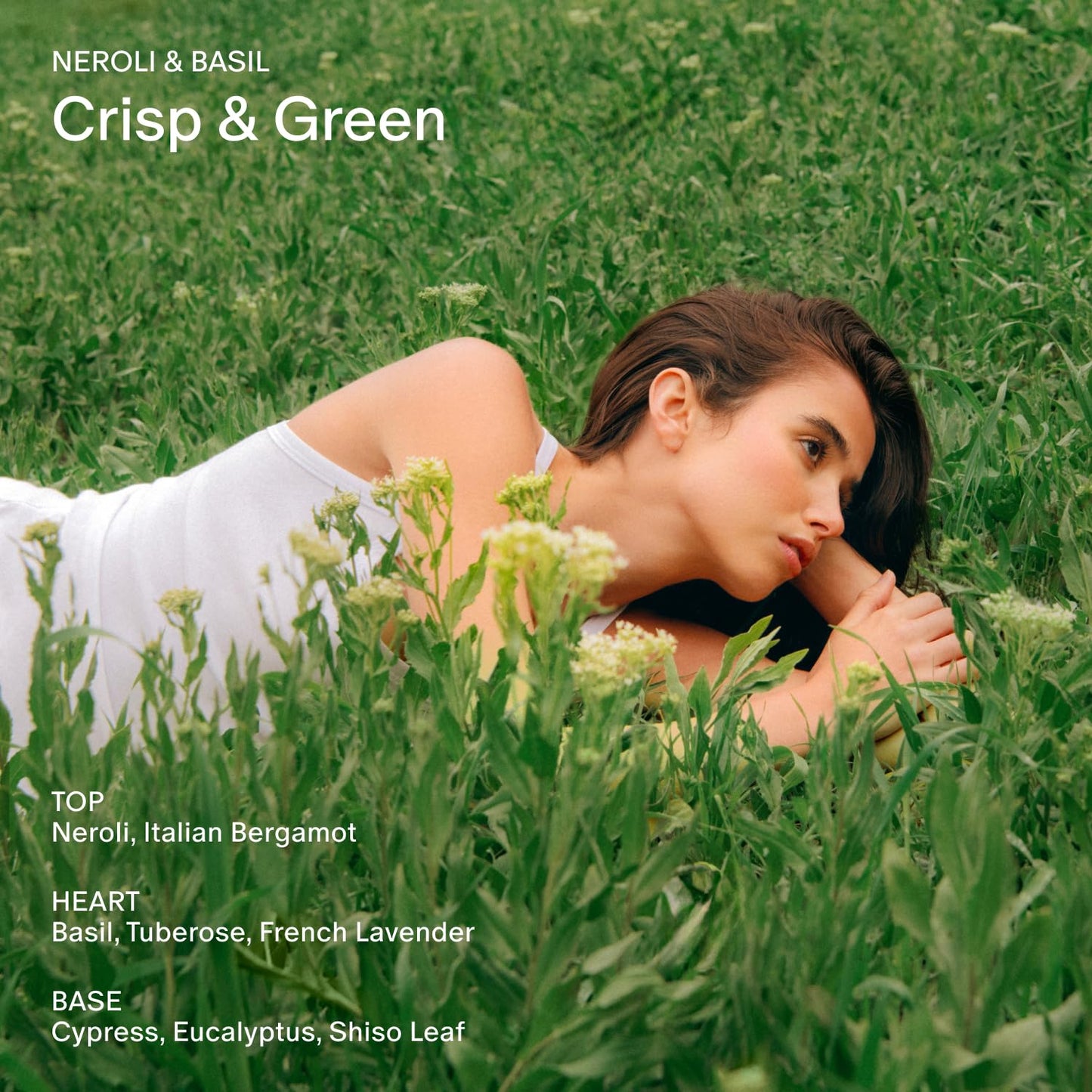 Salt & Stone Body Mist, Neroli & Basil Scent, Skincare Infused Perfume Hair & Body Spray for Women and Men, Hydrating Fragrance with Glycerin and Red Algae, Vegan, Cruelty Free, 3.4 fl oz