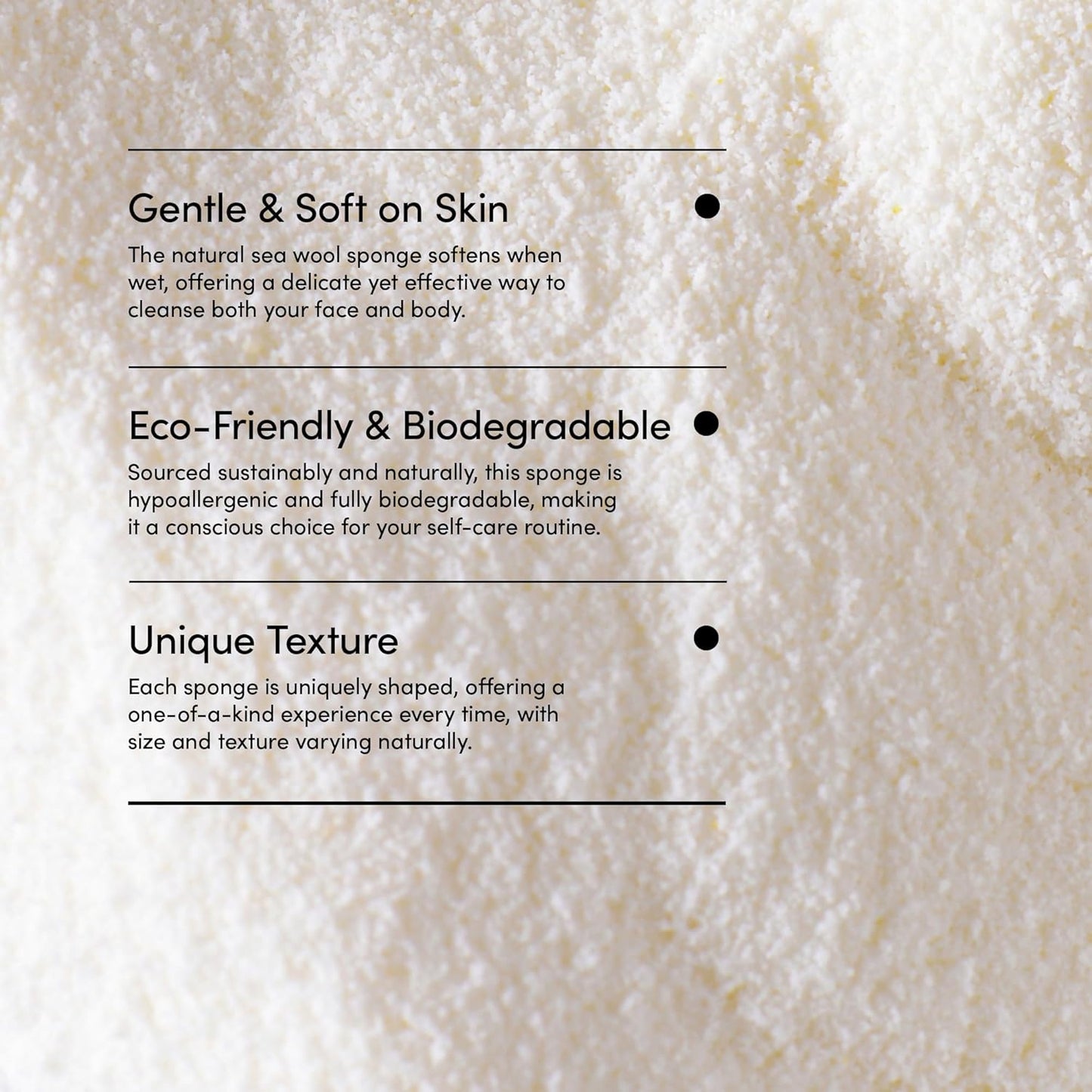 LATHER - Natural Sea Wool Sponge, 5-6" - Organic Exfoliating Body Scrubber - Soft, Gentle Cleansing - Hypoallergenic - All Skin Types - Florida Natural Loofah Sponge - Cruelty Free - Beauty & Skincare