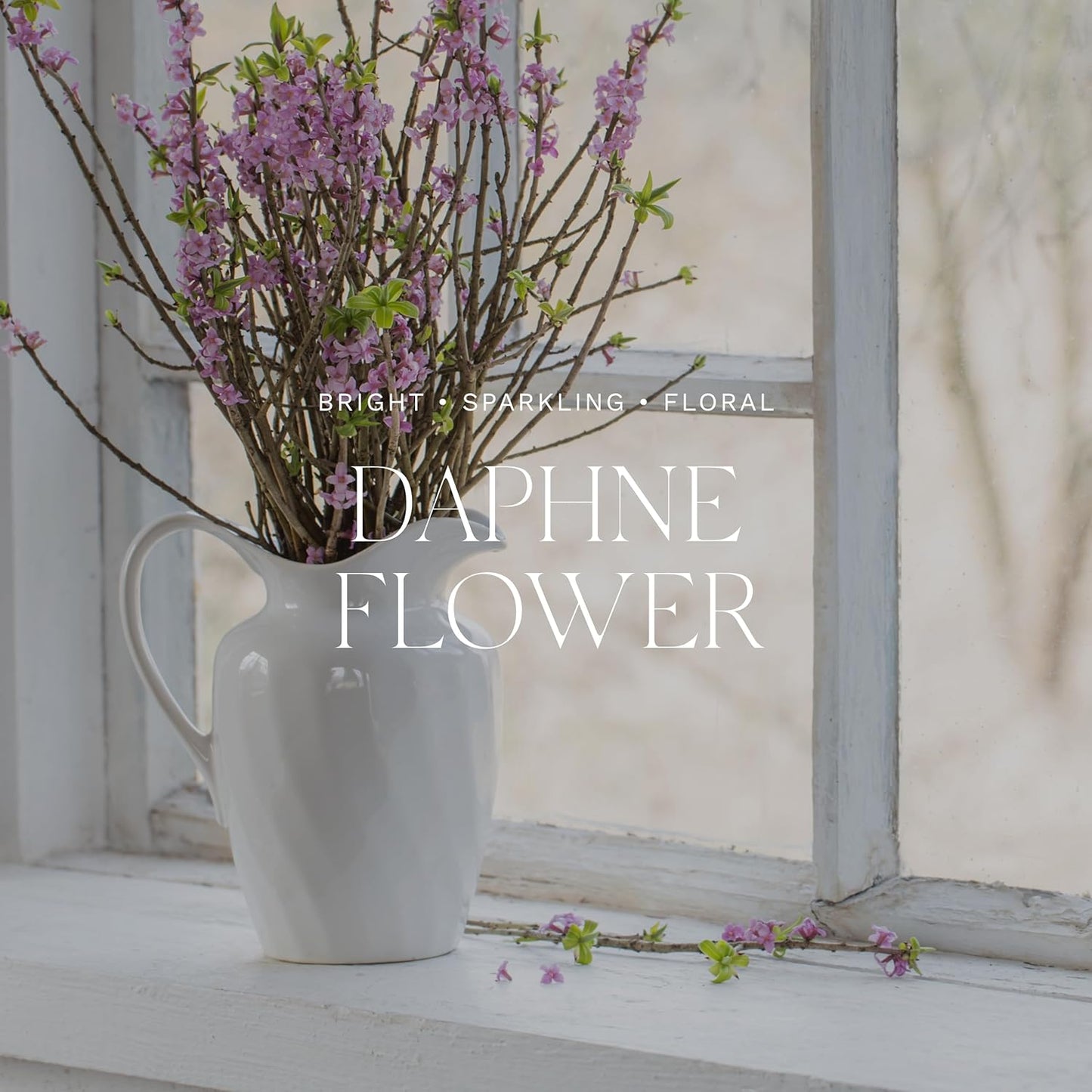 Antica Farmacista Body Moisturizer - Moisturizing Scented Lotion - Premium Body Moisturizer - Luxury Gift for Women & Men - Hand & Skin Hydration - Daphne, 10 Fl Oz