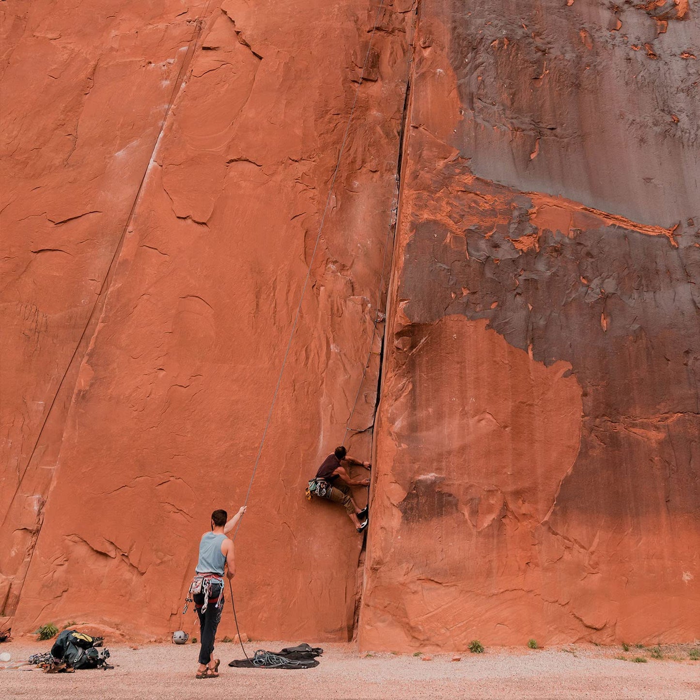 Badger Foot Balm, 100% Organic Foot Cream for Dry Cracked Heels and Feet, Fast Acting Foot Care for Women & Men, All-Natural Cracked Heel Treatment, .75 oz Tin, 2-Pack