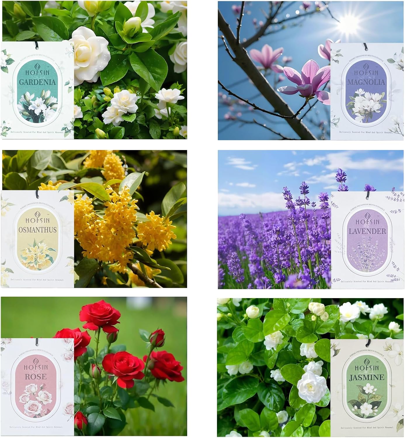 HOFSIN 12Pack Lavender Sachets with Hanging Strings,Long Lasting,Scented Paper Bags,Air Freshener Deodorizer for Closet and Drawer,Home Fragrance for Wardrobe,Car(Lavender)