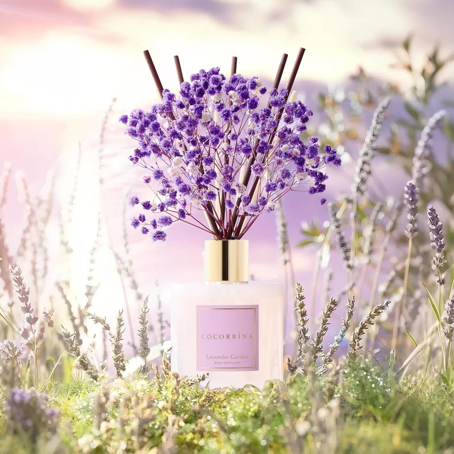 COCORRÍNA Reed Diffuser - Lavender Garden 6.7 Fl.oz Reed Diffuser Set with Sticks & Preserved Baby's Breath, Reed Diffuser for Home Bathroom Shelf Decor